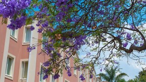 Fachada da propriedade