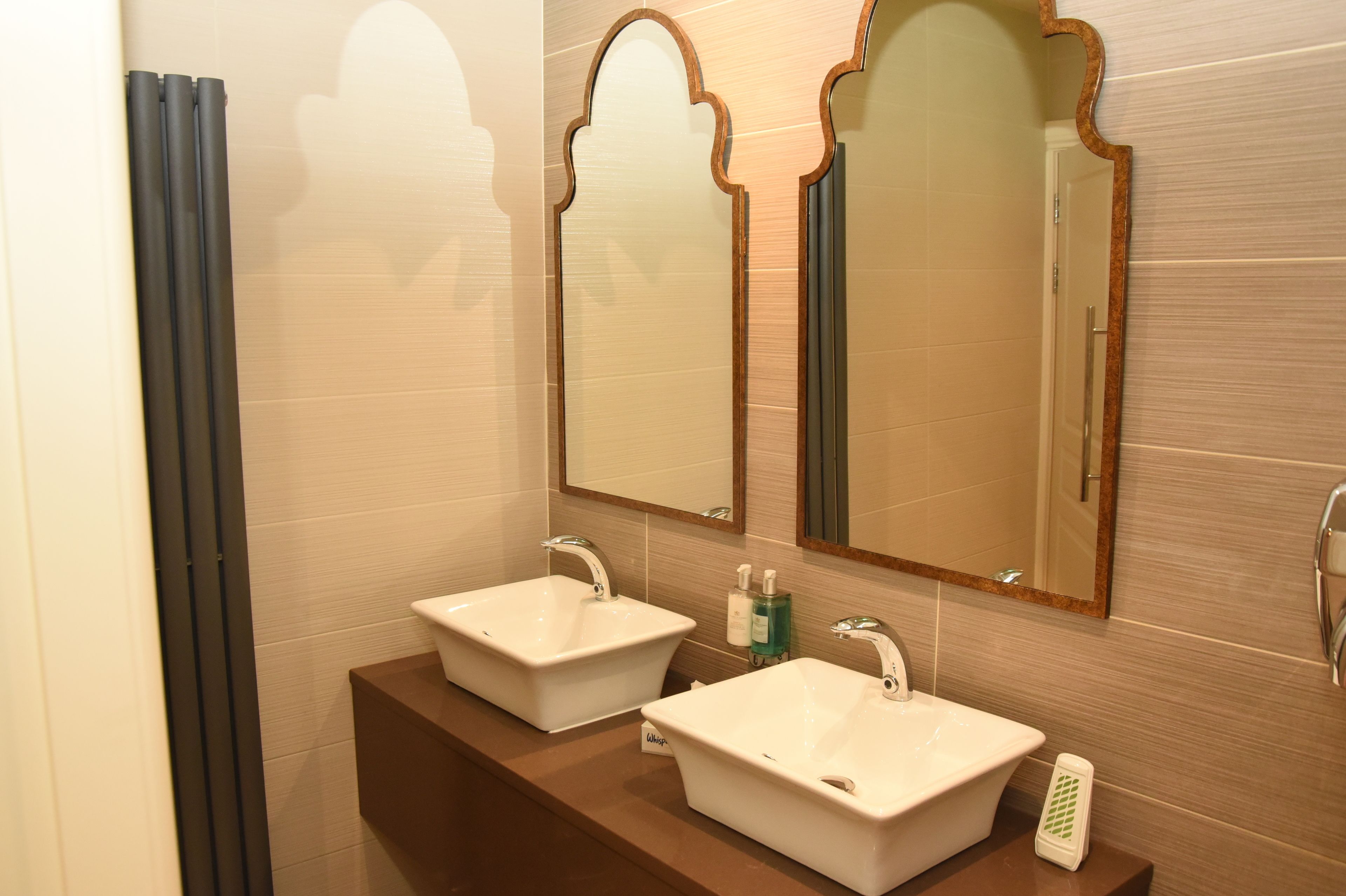 executive double room | bathroom sink