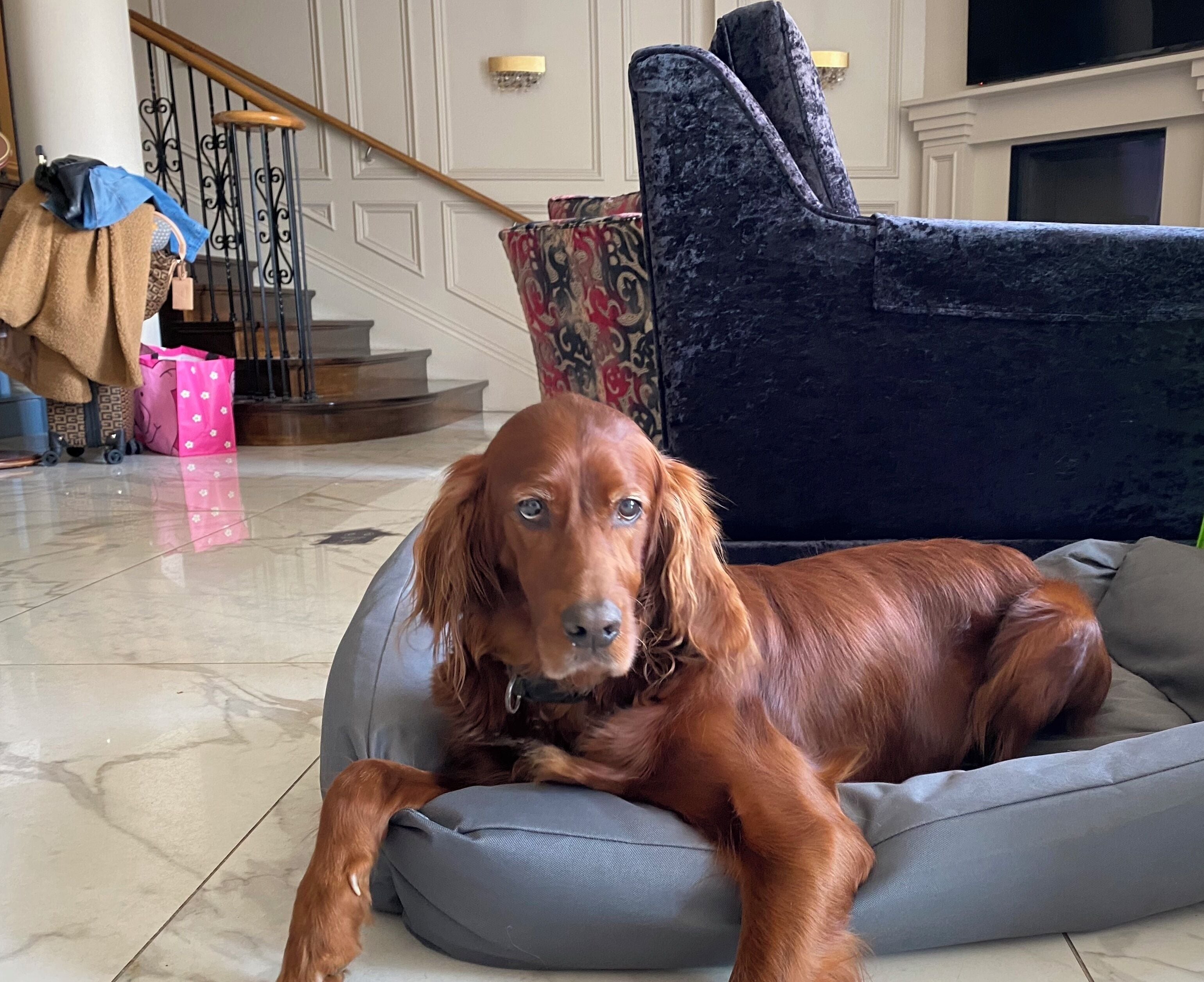 Foto - The Fairview Boutique Hotel