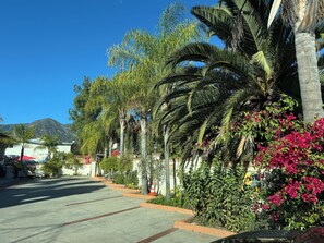 무료 셀프 주차