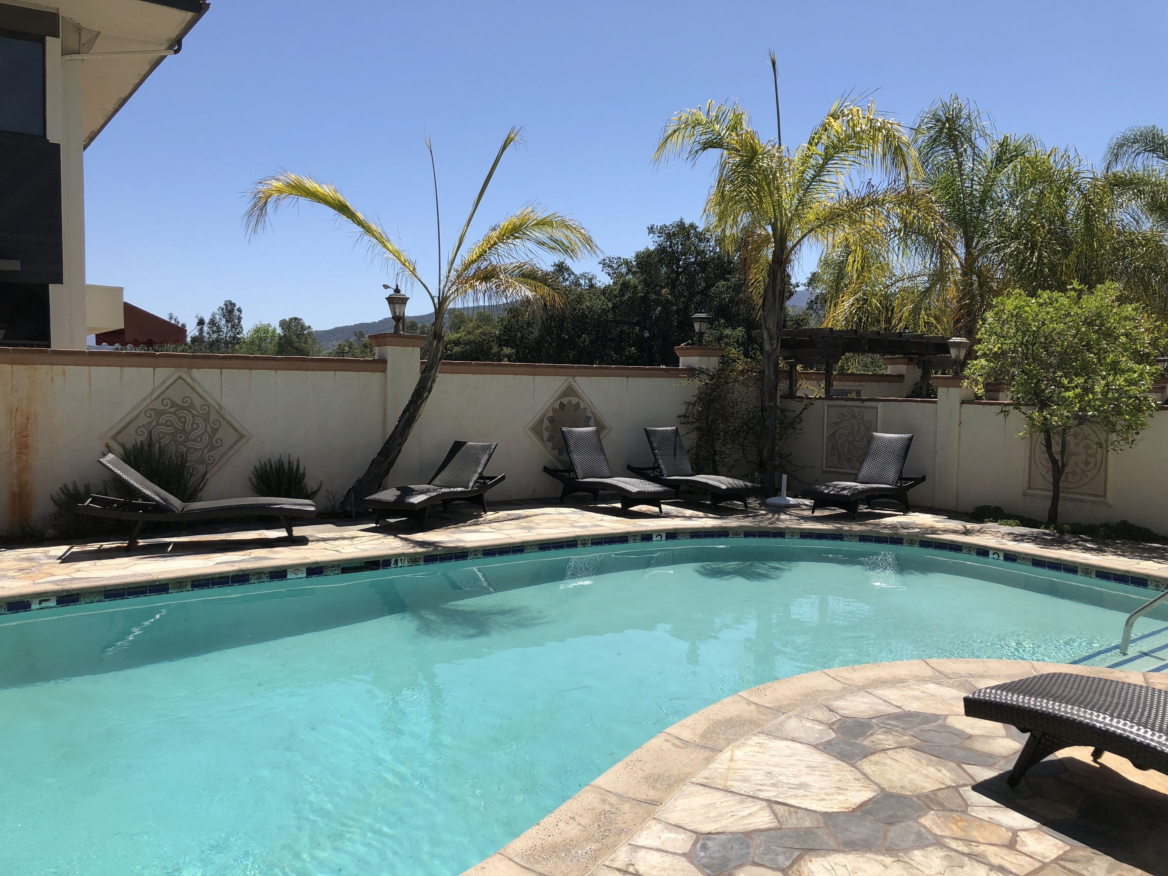 Outdoor pool, sun loungers