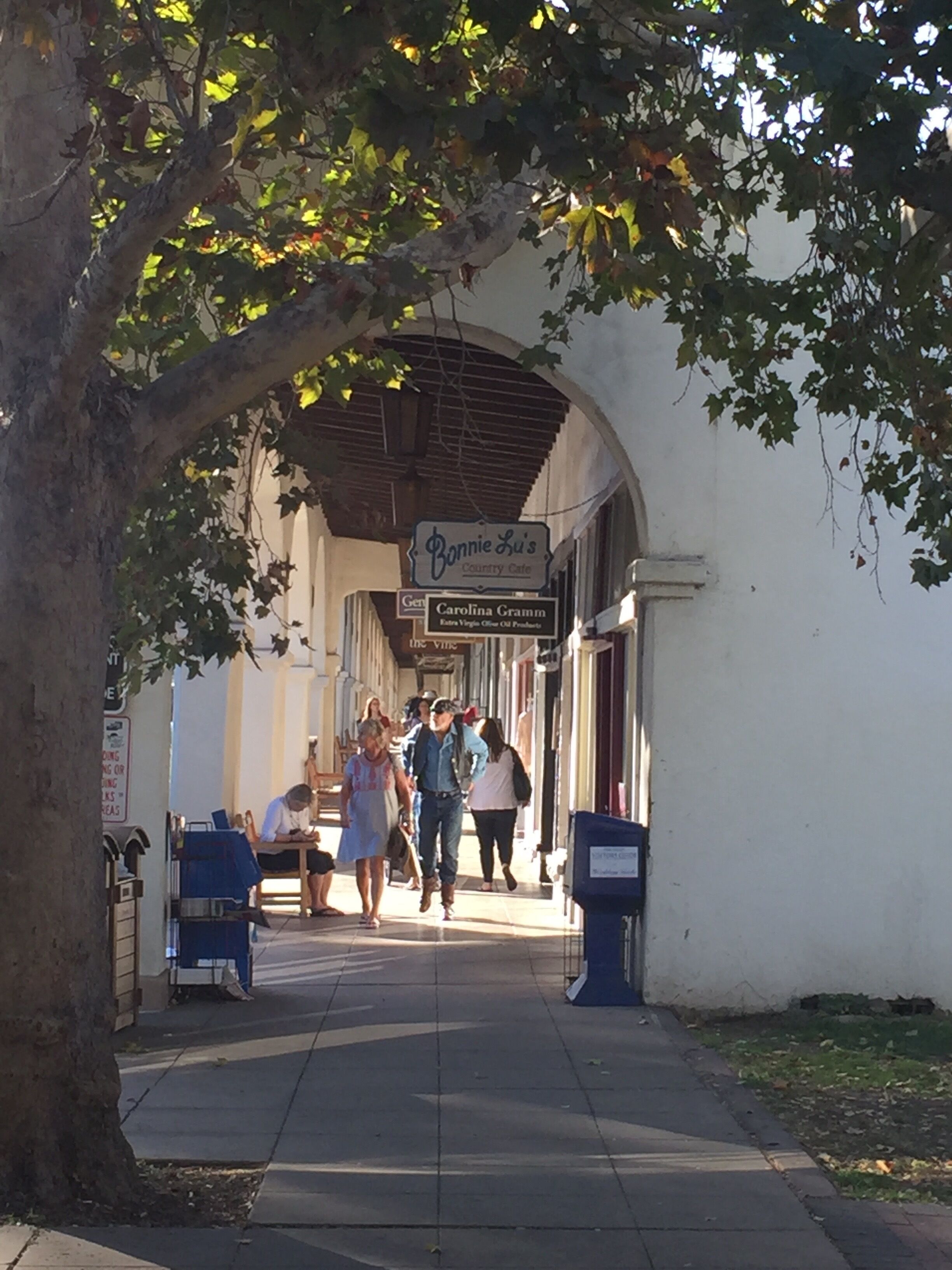 A pedestrian walkway with a covered archway, a sign for Bonnie Lu's Country Cafe, and a visible storefront named Carolina Gramm.