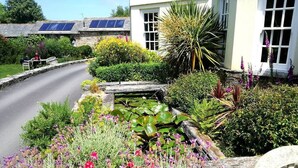 A garden with a pond, various plants, and a building with solar panels.