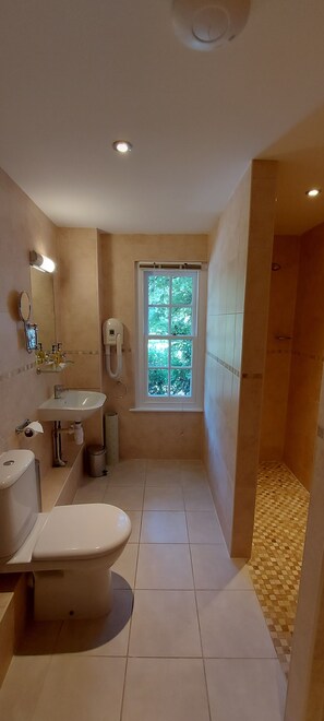 غرفة ديلوكس | حمام | مستلزمات مجانية للعناية الشخصية، مجففات شعر، برانس (أردية) حمّام، مناشف