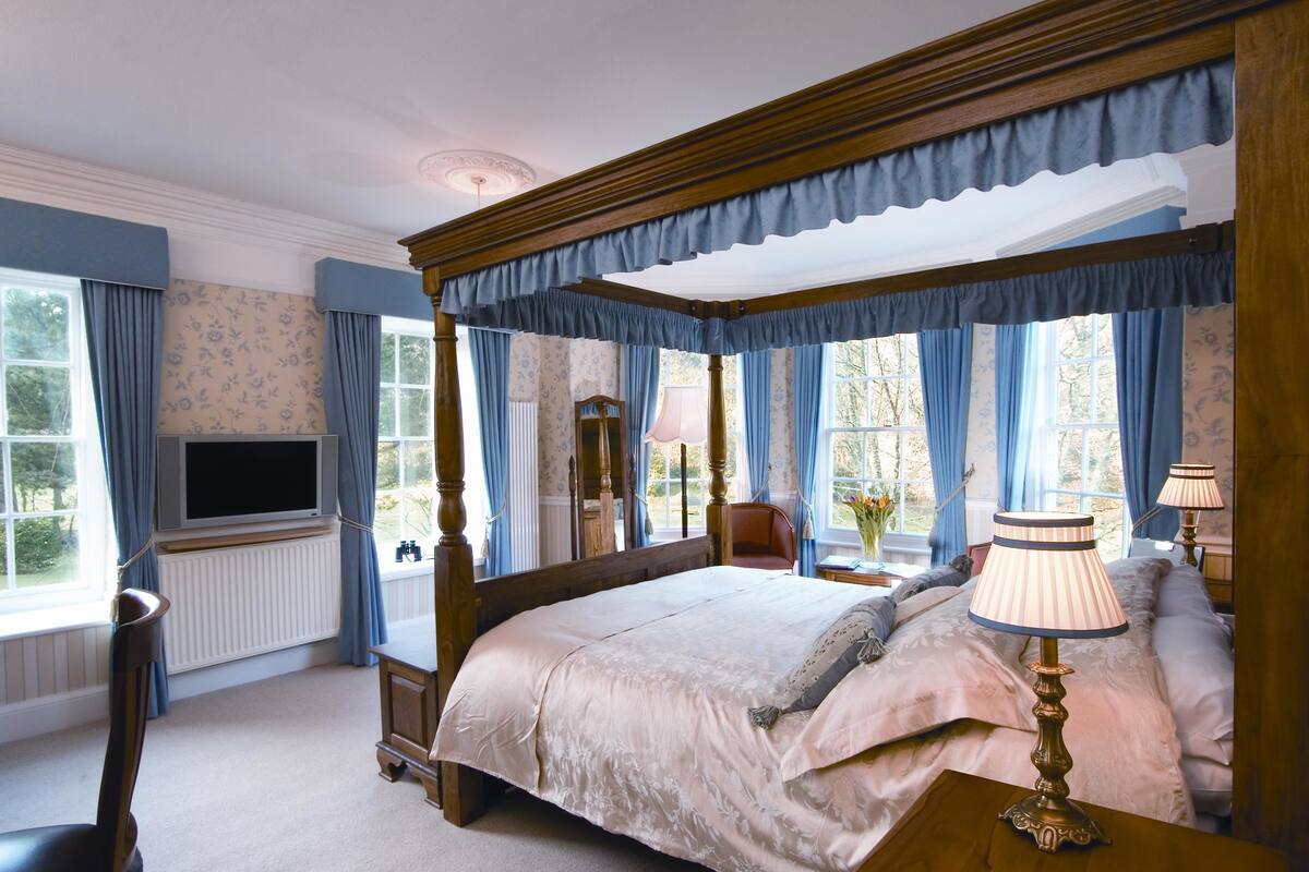 A four-poster bed with a canopy, a television on a stand, and a lamp on a bedside table.