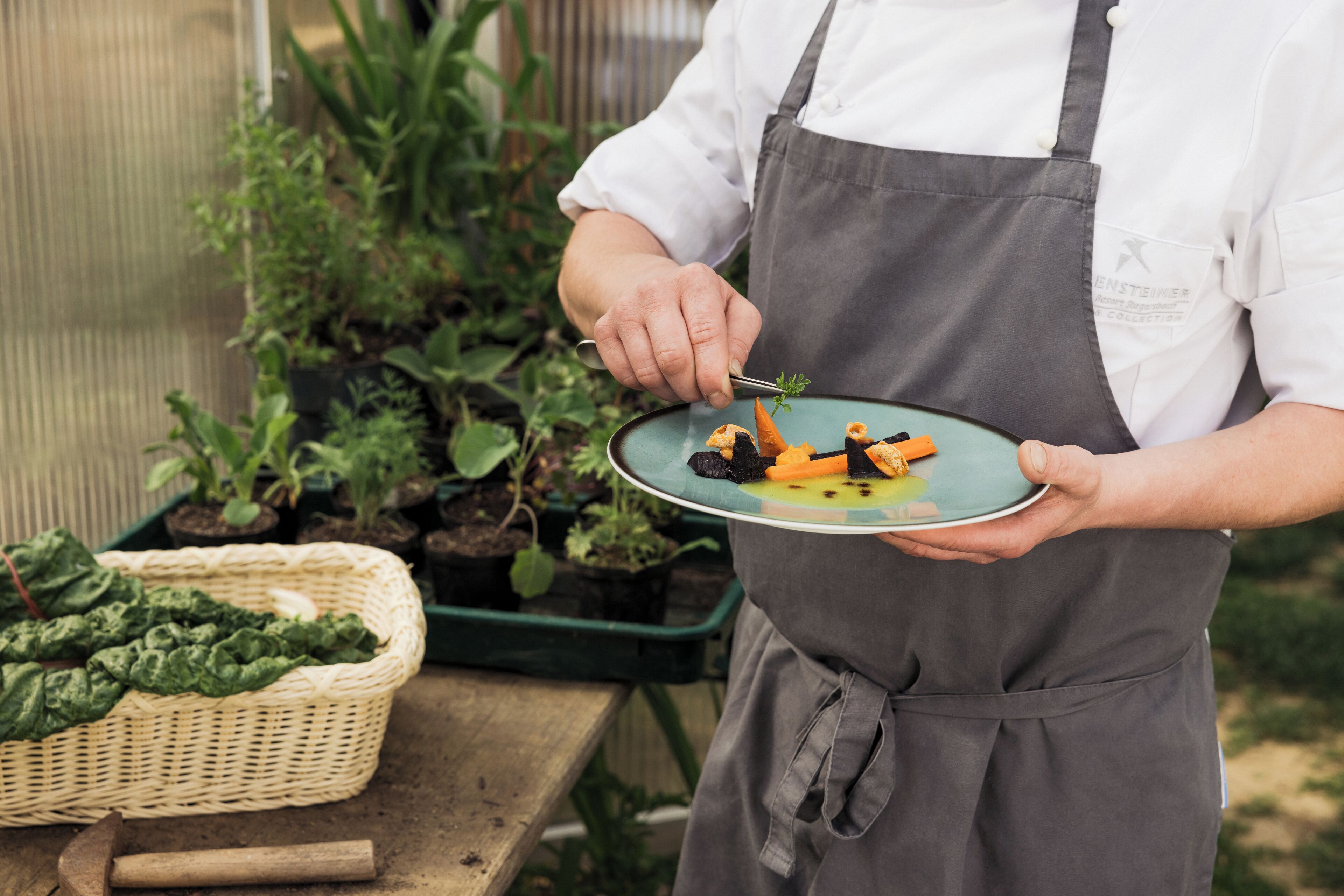 A person holding a plate with food, wearing a white shirt and a grey apron, standing in front of a table with plants and gardening tools.