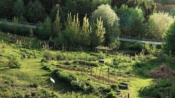 A rural landscape with a dirt path, wooden fences, and dense greenery.