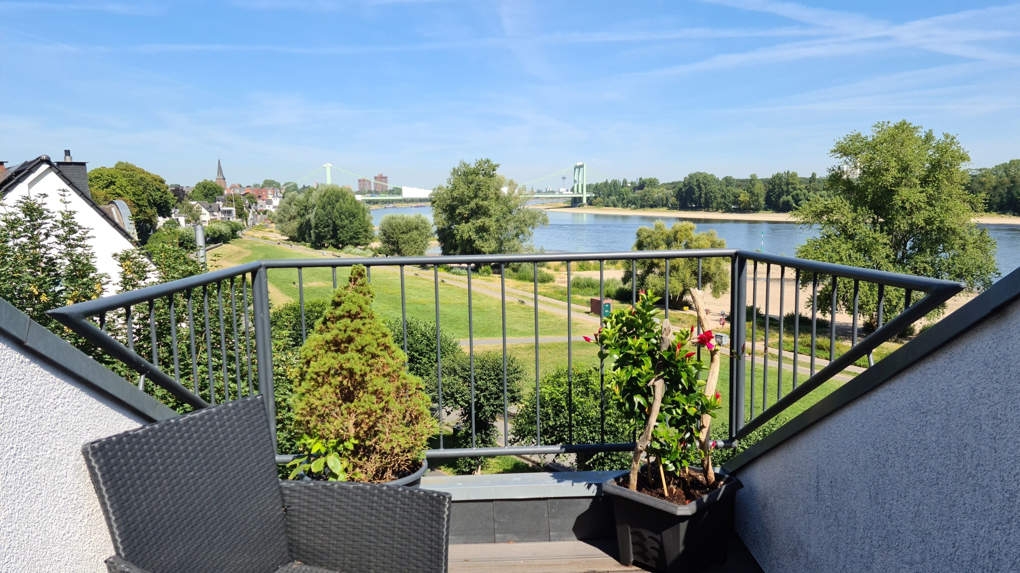 Junior Suite | View from room