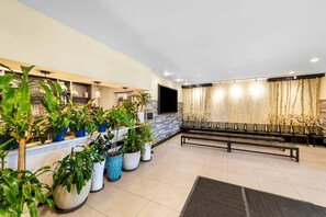Zona de recepción con área de estar, plantas en macetas y televisor montado en la pared.
