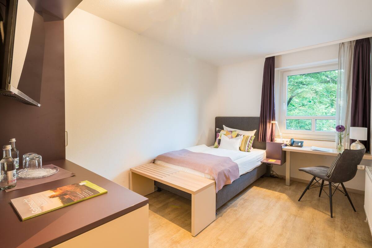 standard single room | 1 bedroom, premium bedding, desk, blackout curtains