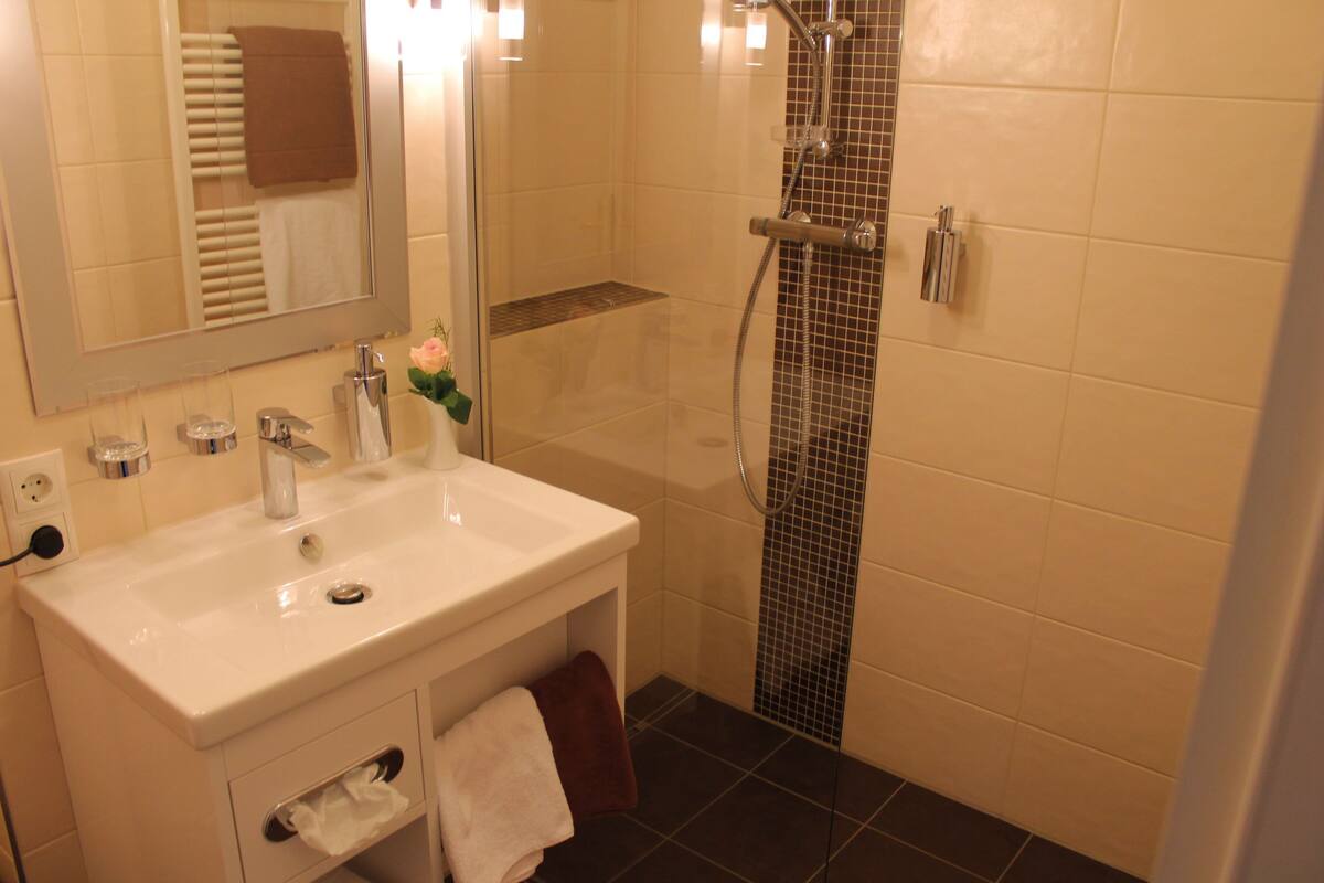 free toiletries, hair dryer, towels