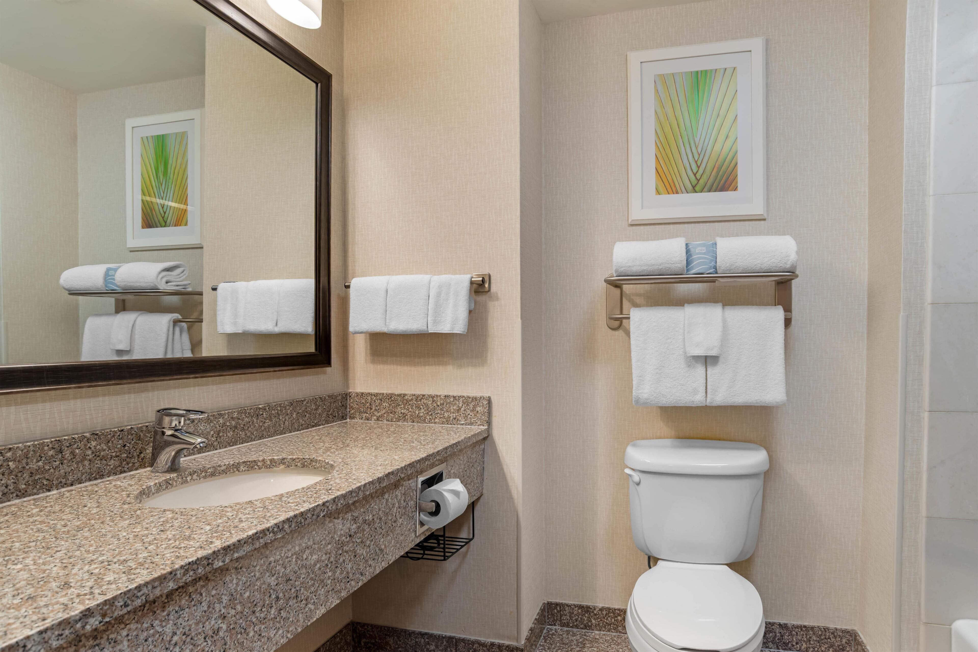 Une salle de bain avec un lavabo doté d’un plan de travail en granit, un miroir, des toilettes et deux porte-serviettes.