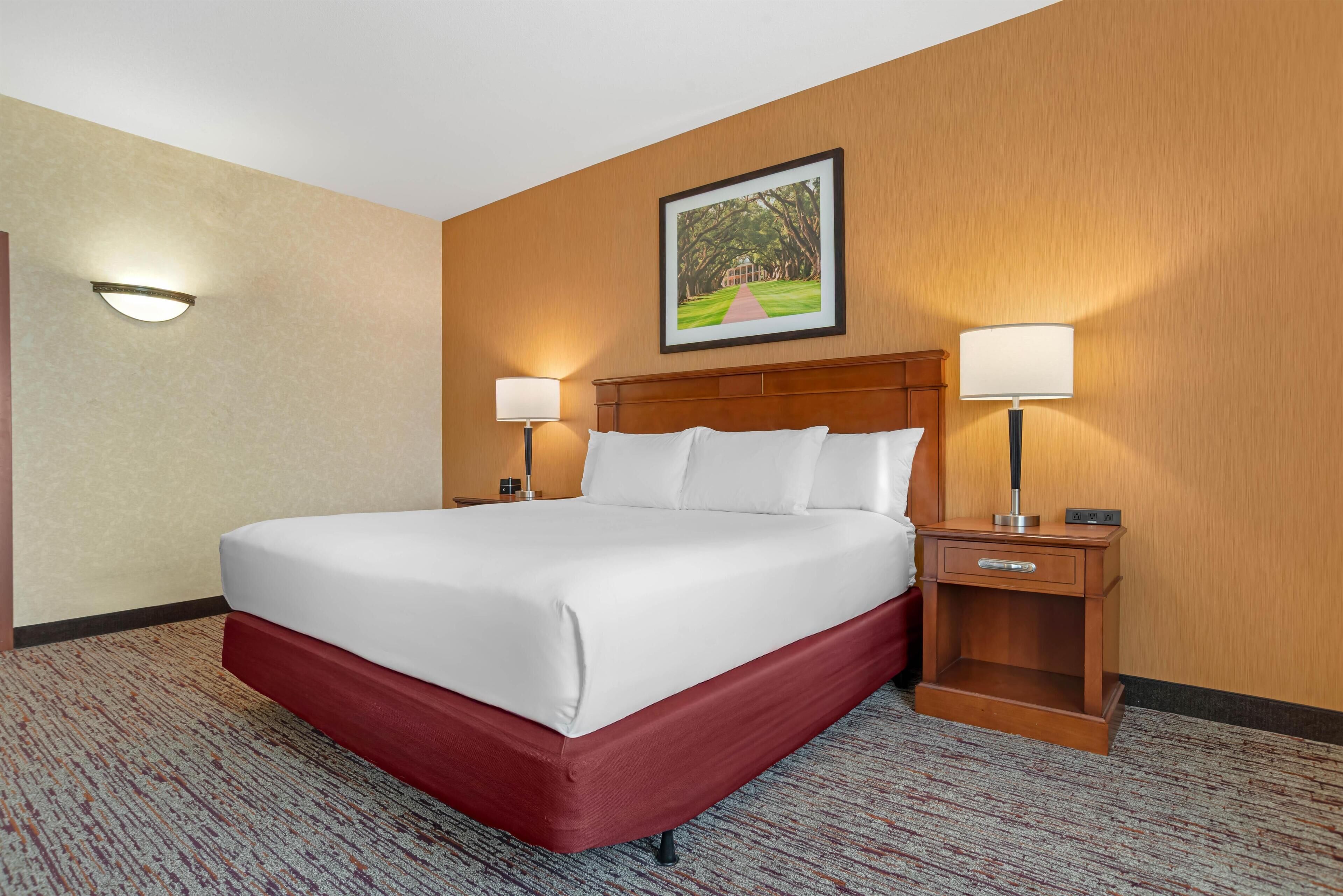 A hotel room with a large bed, two bedside lamps, a nightstand, and a framed picture on the wall.