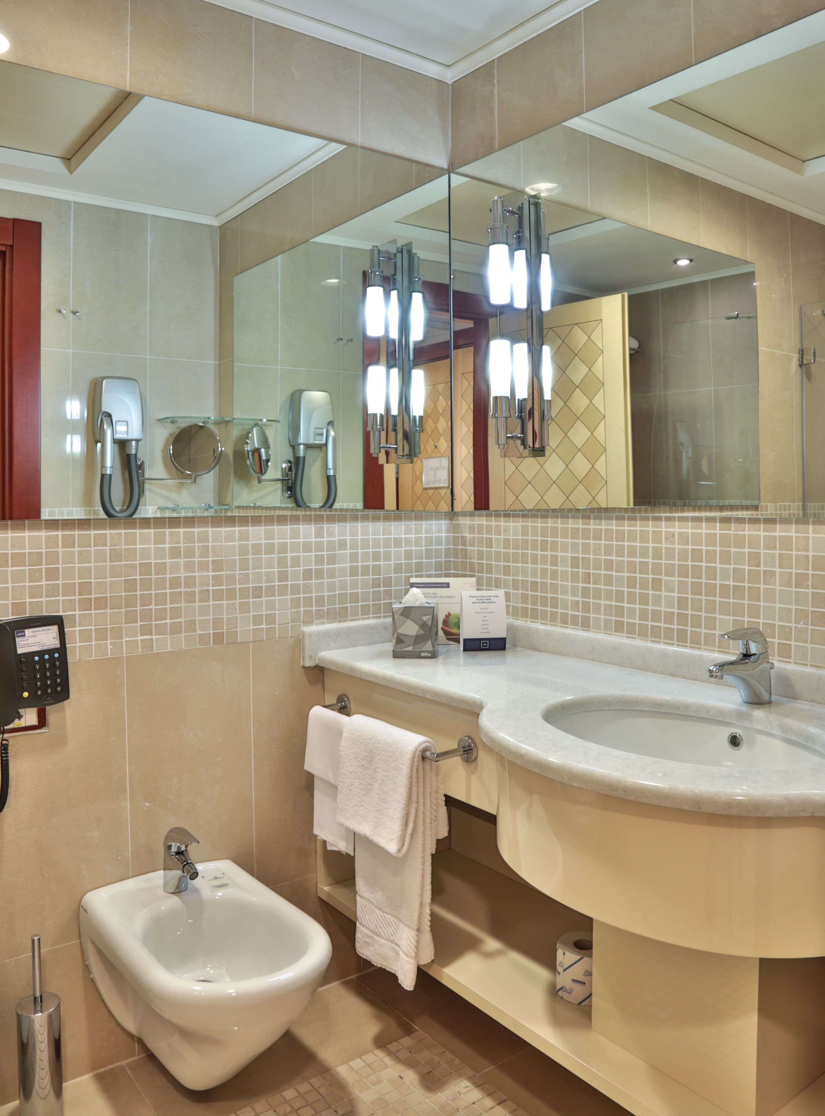 separate bathtub and shower, rainfall showerhead, hair dryer, bidet