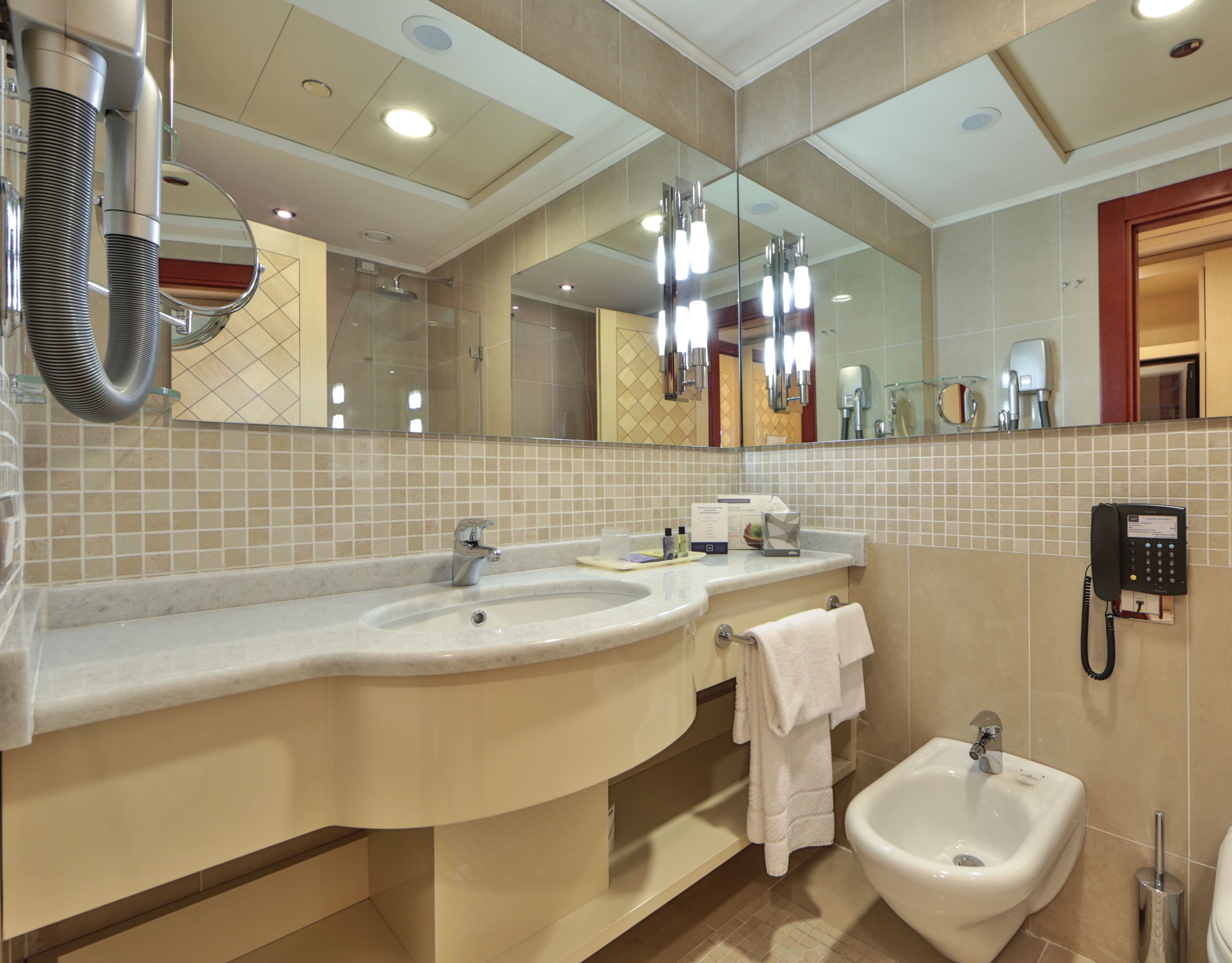 separate bathtub and shower, rainfall showerhead, hair dryer, bidet