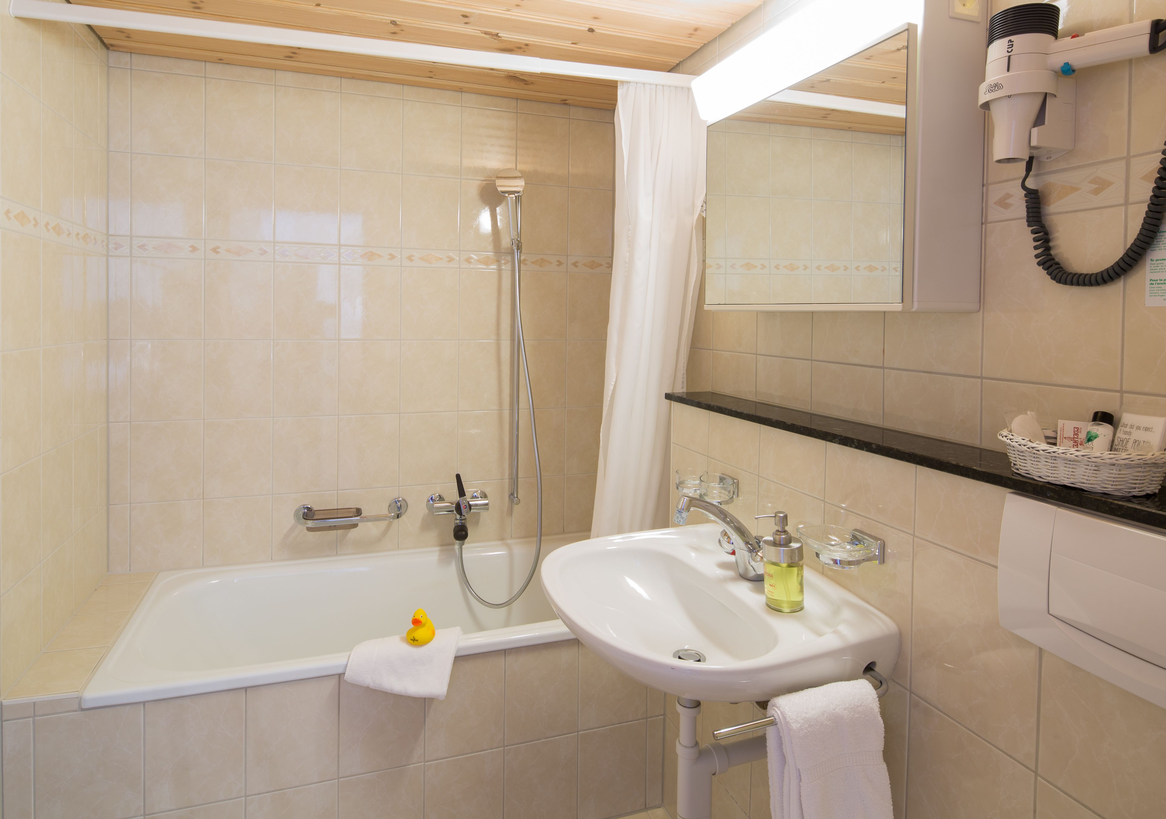 basic double room | bathroom | shower, rainfall showerhead, designer toiletries, hair dryer