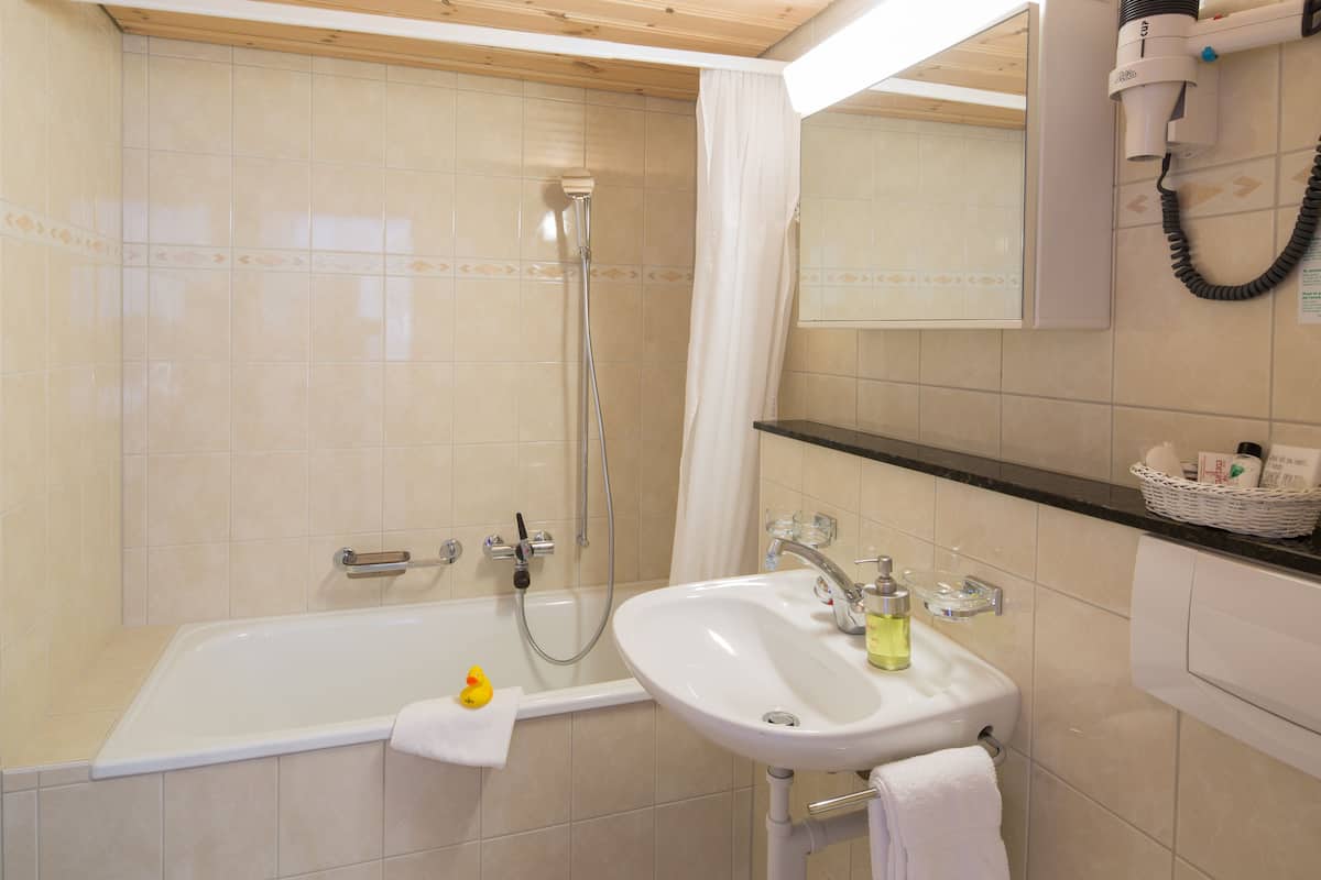 basic double room | bathroom | shower, rainfall showerhead, designer toiletries, hair dryer