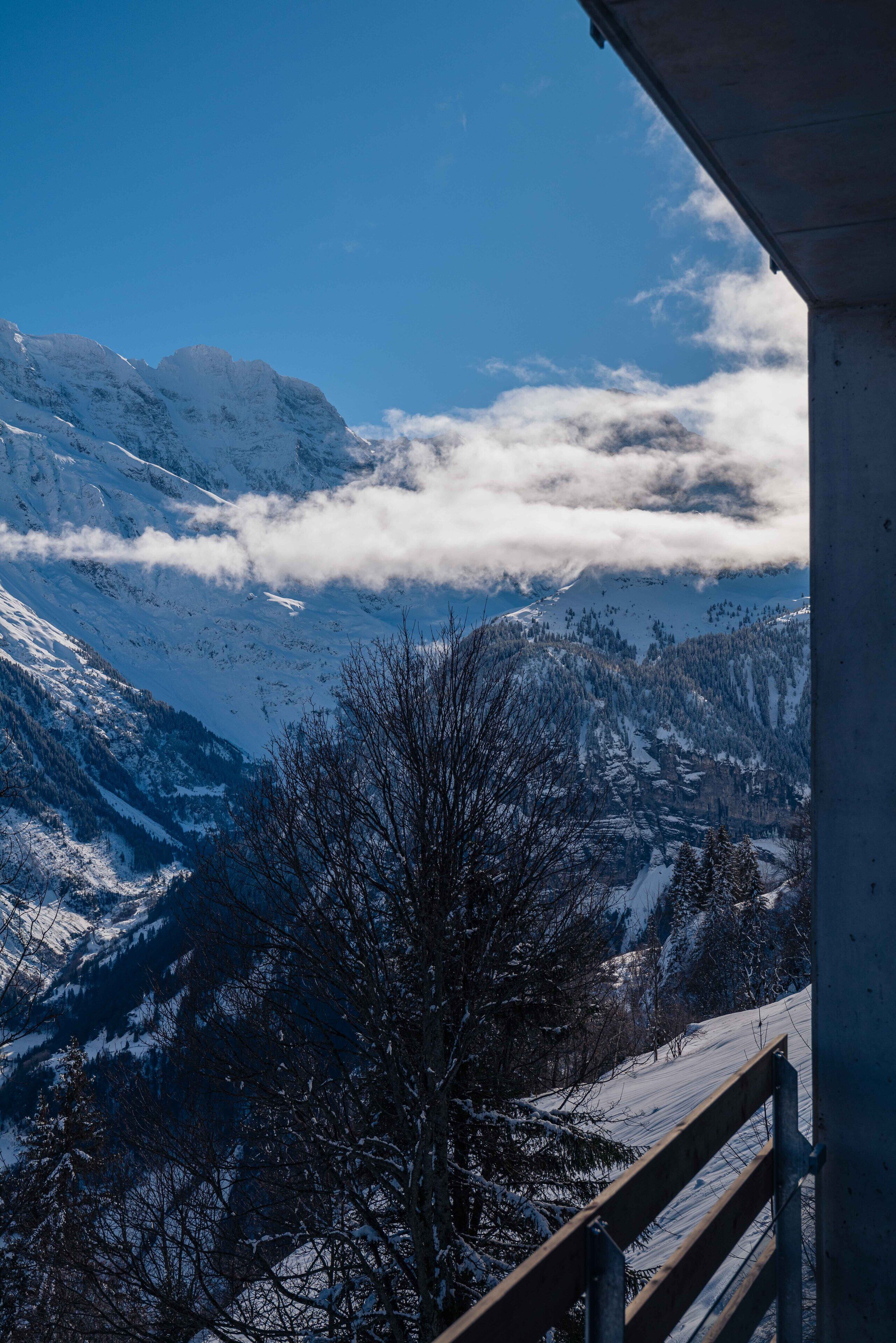 premium double room (panorama) | view from room