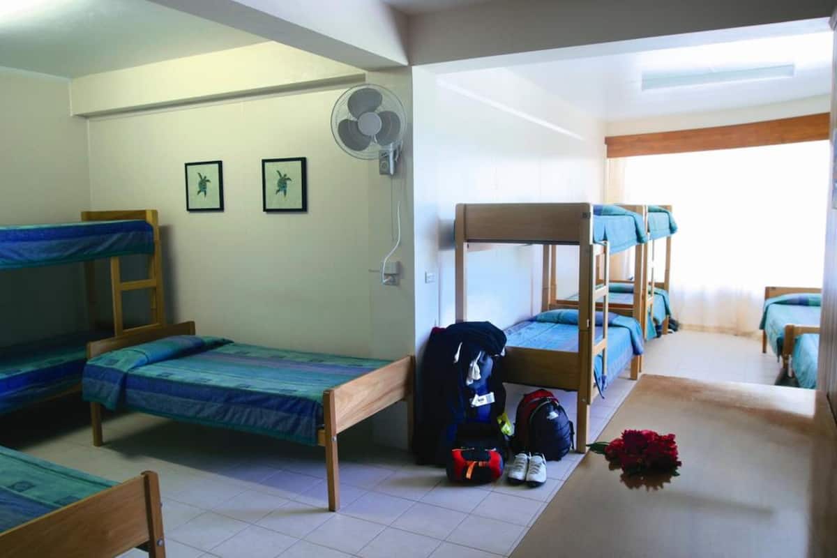 A dormitory room with bunk beds, a fan, and a small table with a flower.
