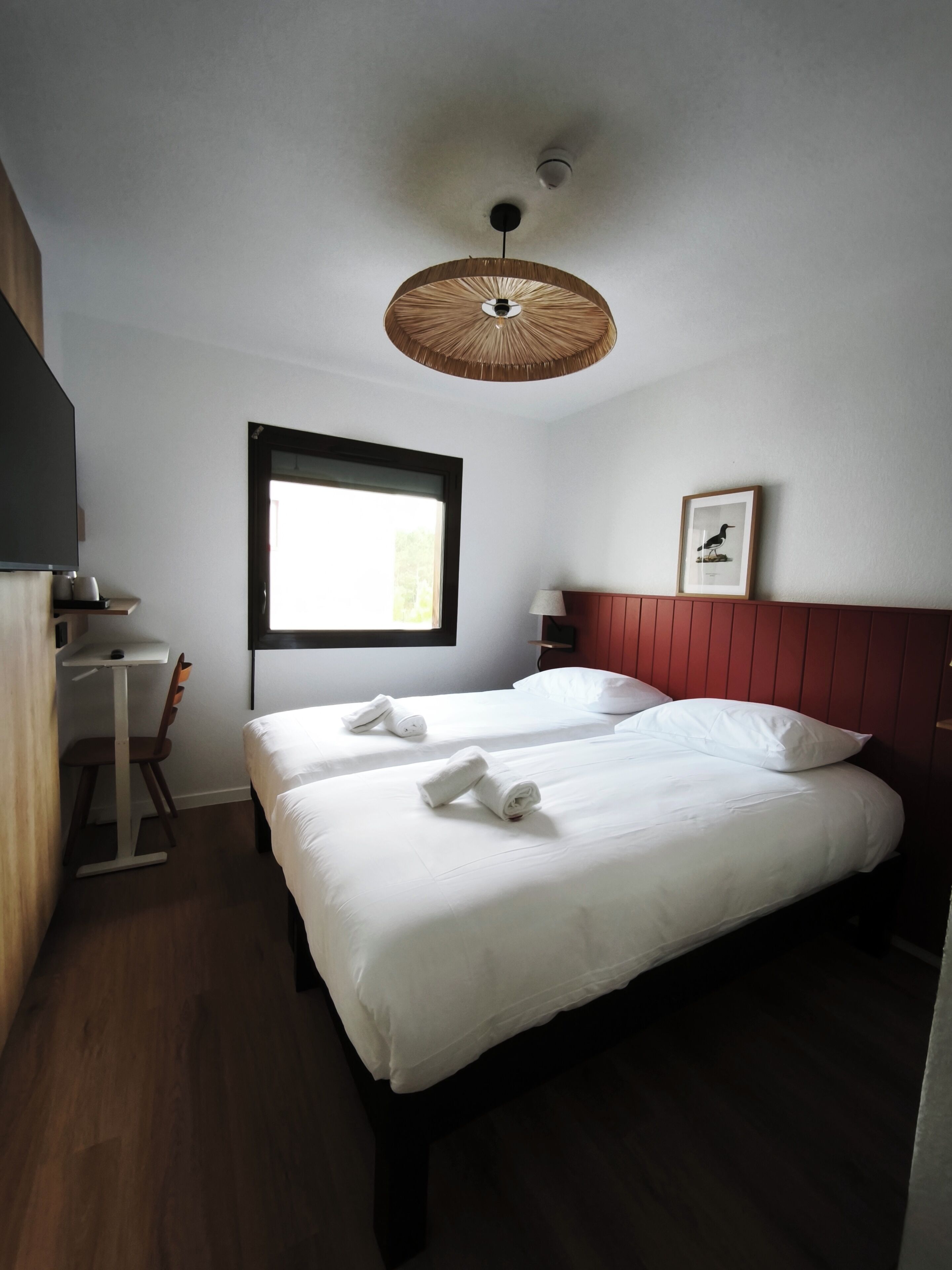 Standard Room, 2 Single Beds