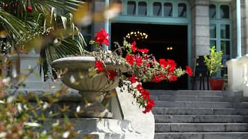A building with a 'Casino' sign, stone steps, and a planter with red flowers.