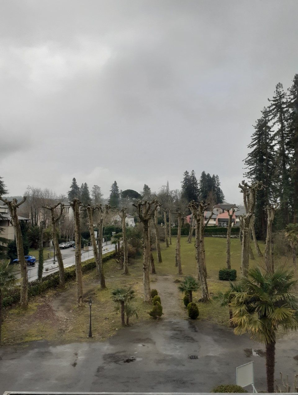 Un parque con árboles, un camino y un edificio al fondo.