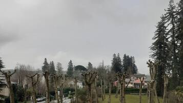 Un parque con árboles, un camino y un edificio al fondo.