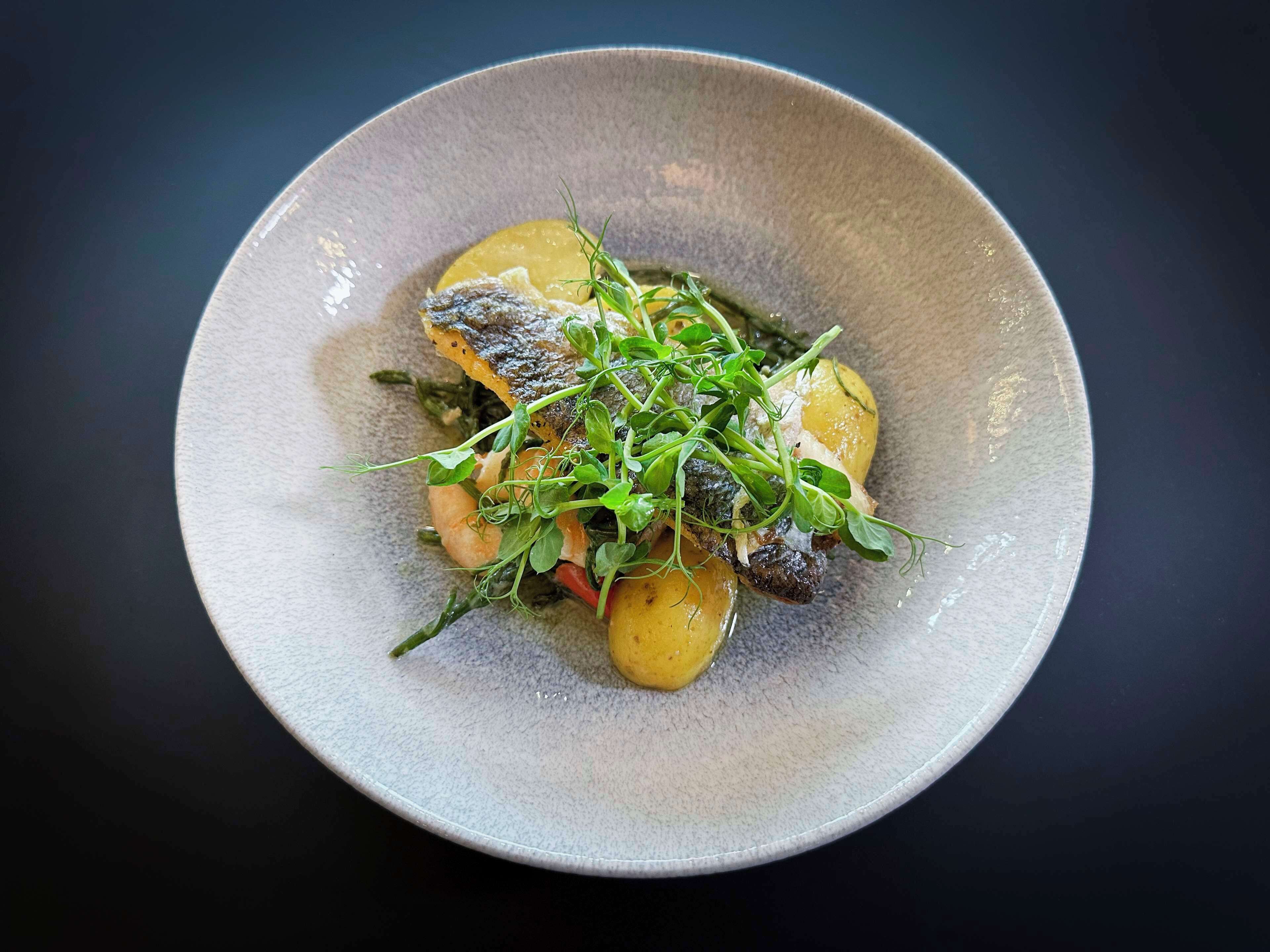 Ein Teller mit Fisch, Kartoffeln und Gemüse.