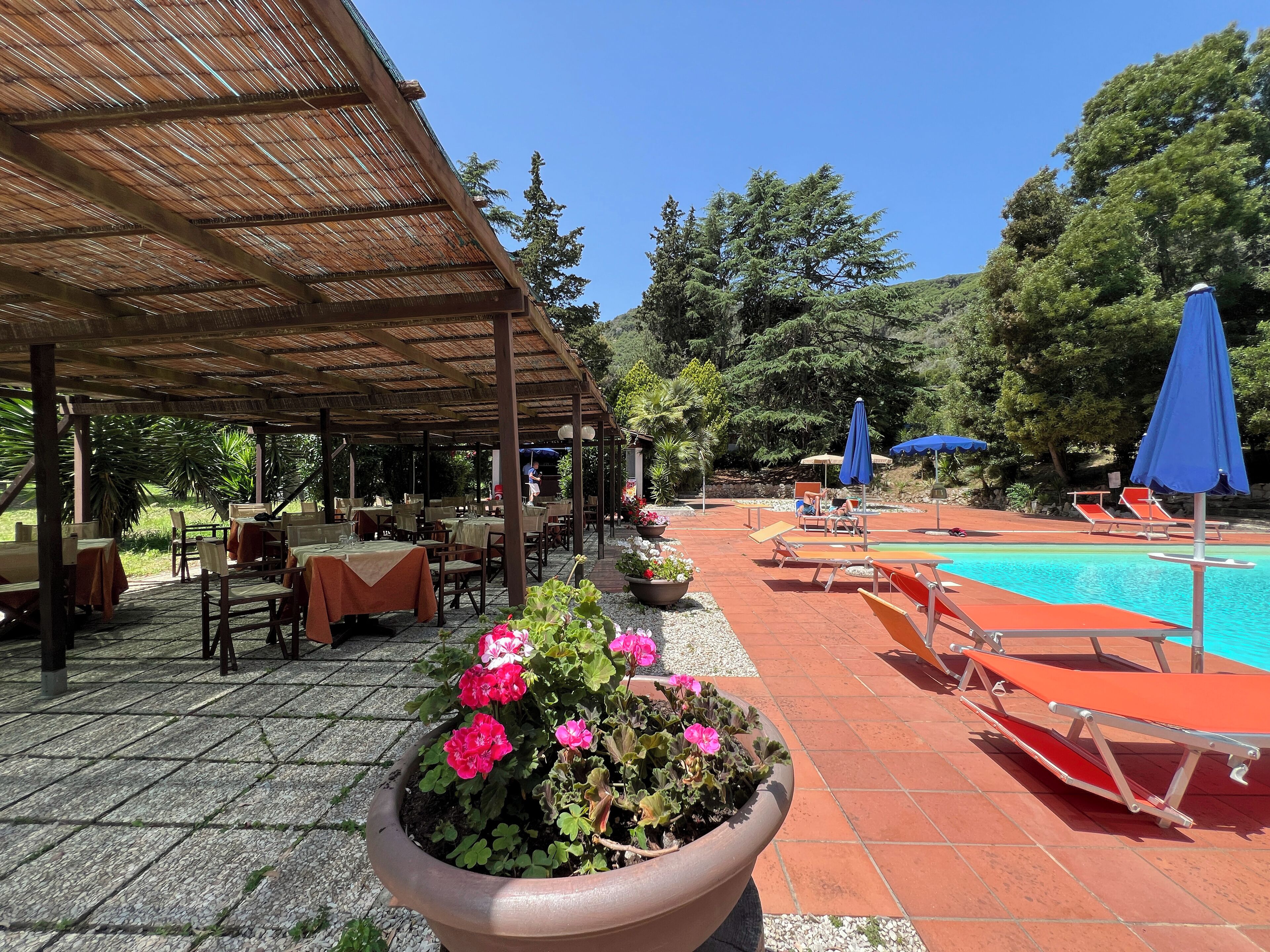 Un área de comedor al aire libre con techo, mesas y sillas, una piscina con tumbonas y una planta en maceta con flores rosas.