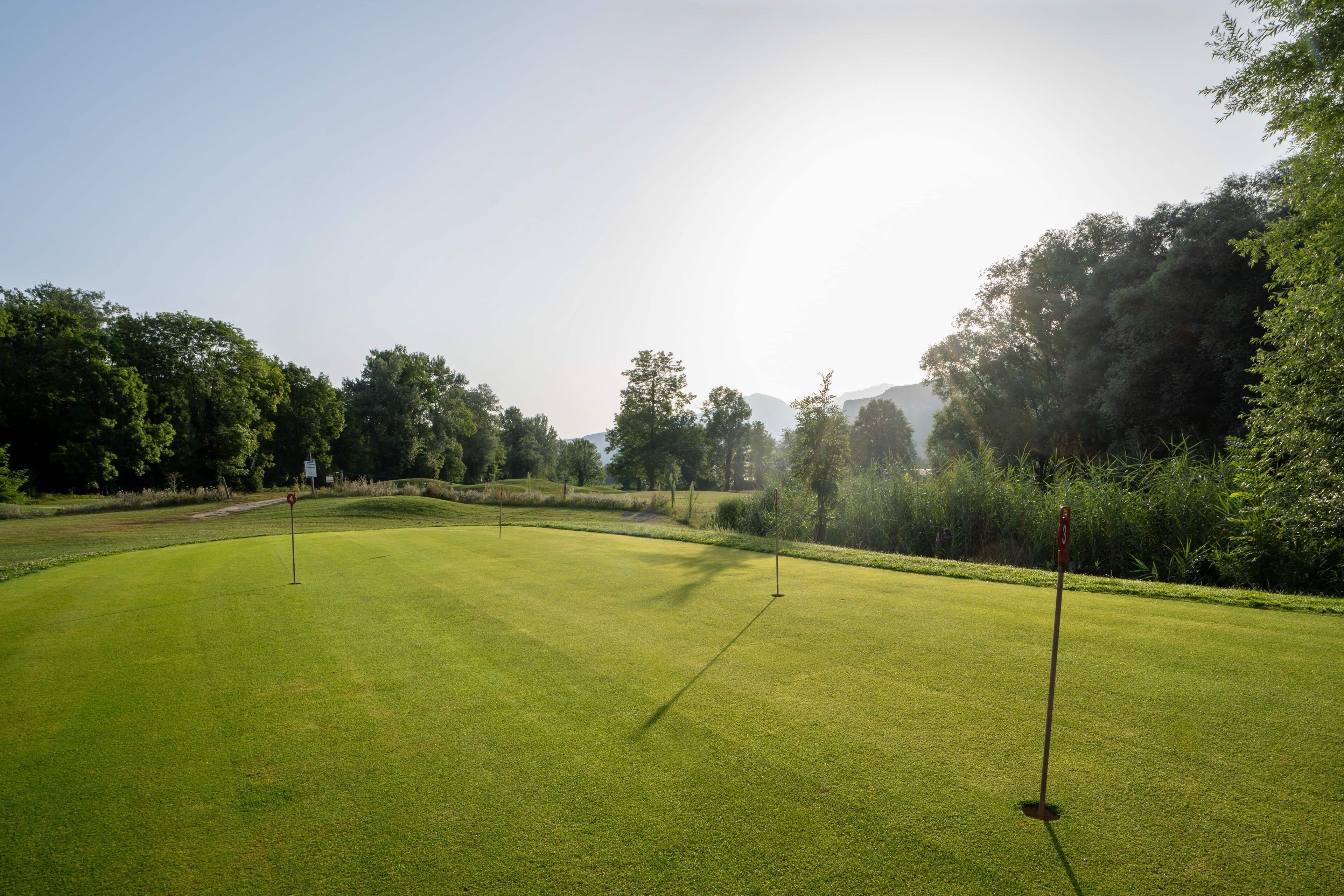 A well-maintained golf course with clear fairways and greens, surrounded by dense trees and a clear sky.