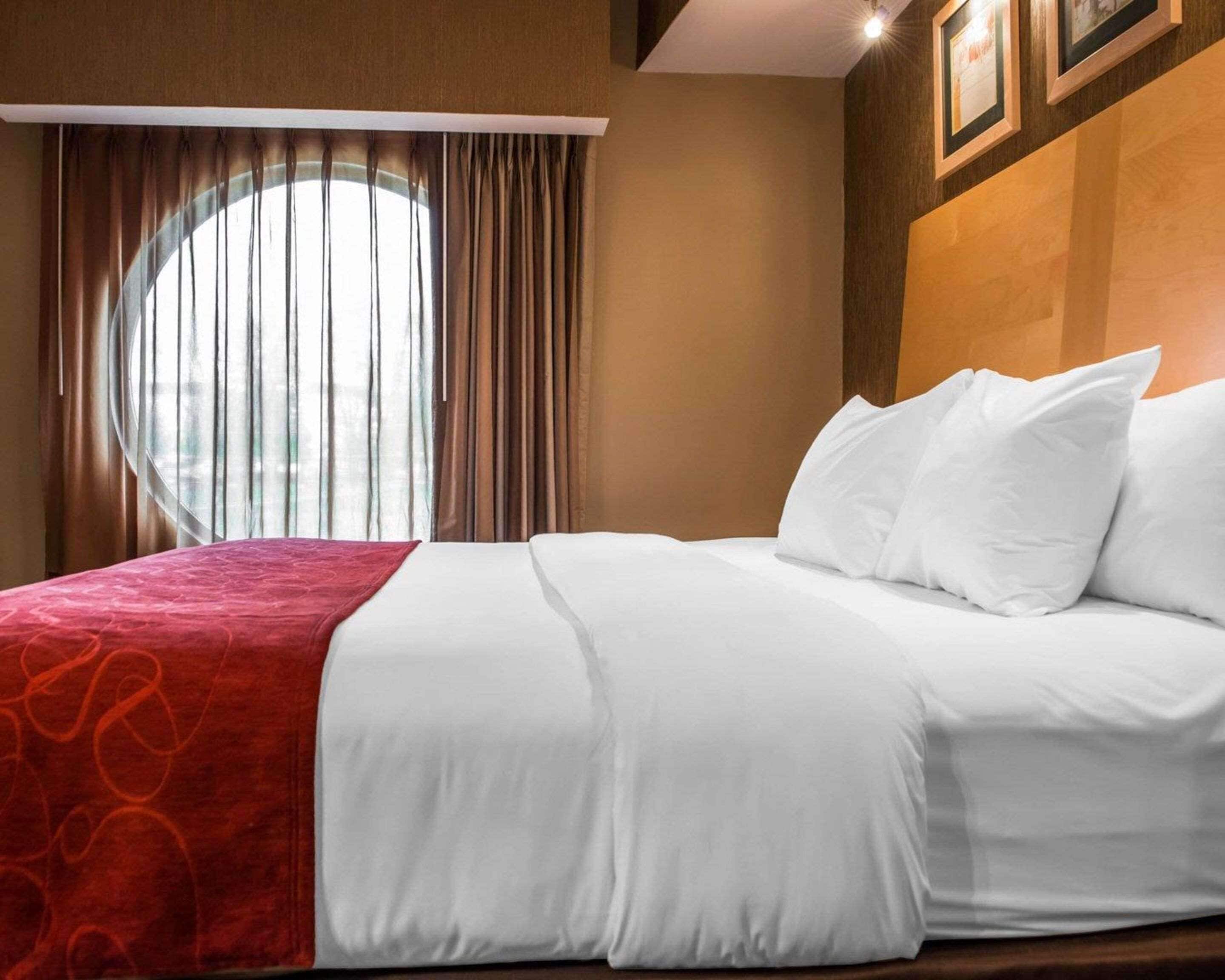 A hotel room with a large bed, a red throw blanket, and a window with curtains.
