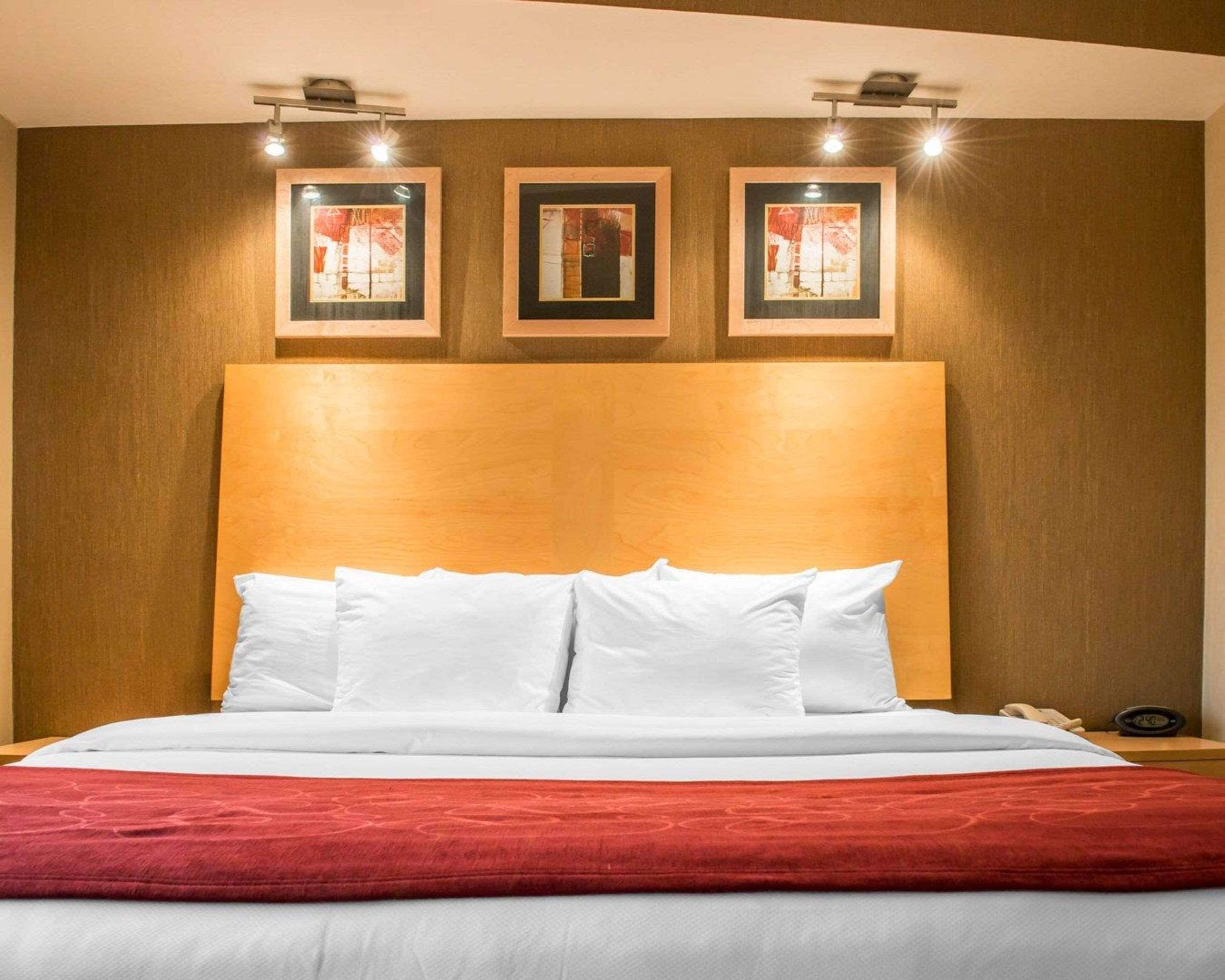 suite, 1 king bed with sofa bed, non smoking | desk, iron/ironing board, free cots/infant beds, free wifi