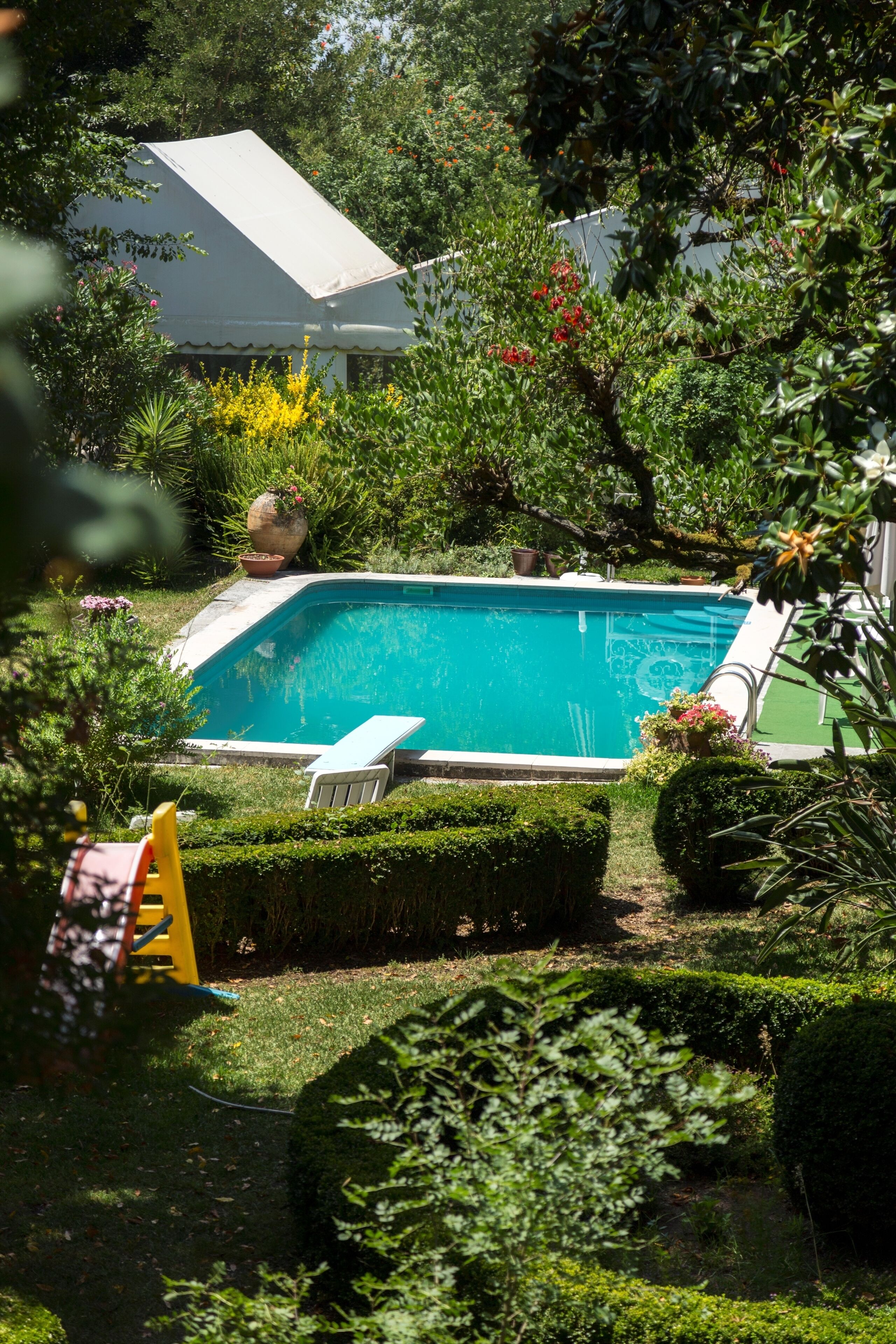 A swimming pool surrounded by lush greenery, with a white house in the background.