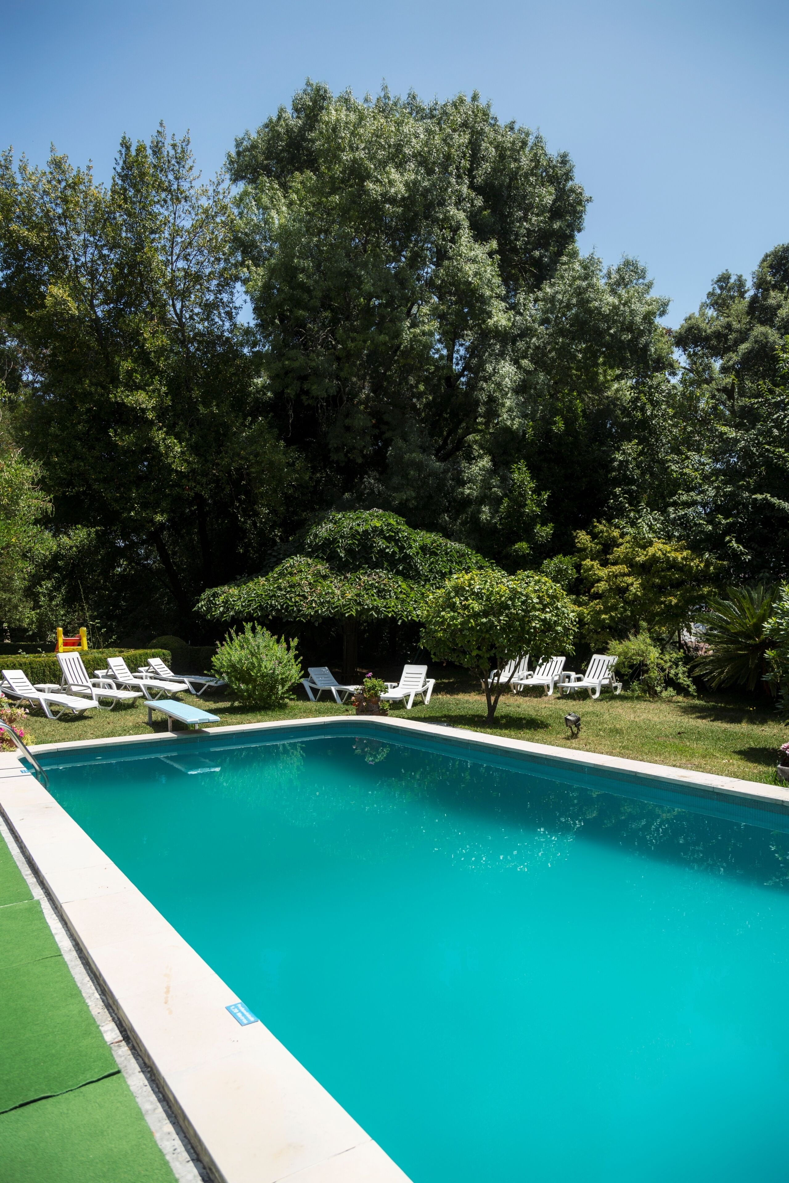 Piscina rectangular con agua azul cristalina, rodeada de sillones blancos y follaje.