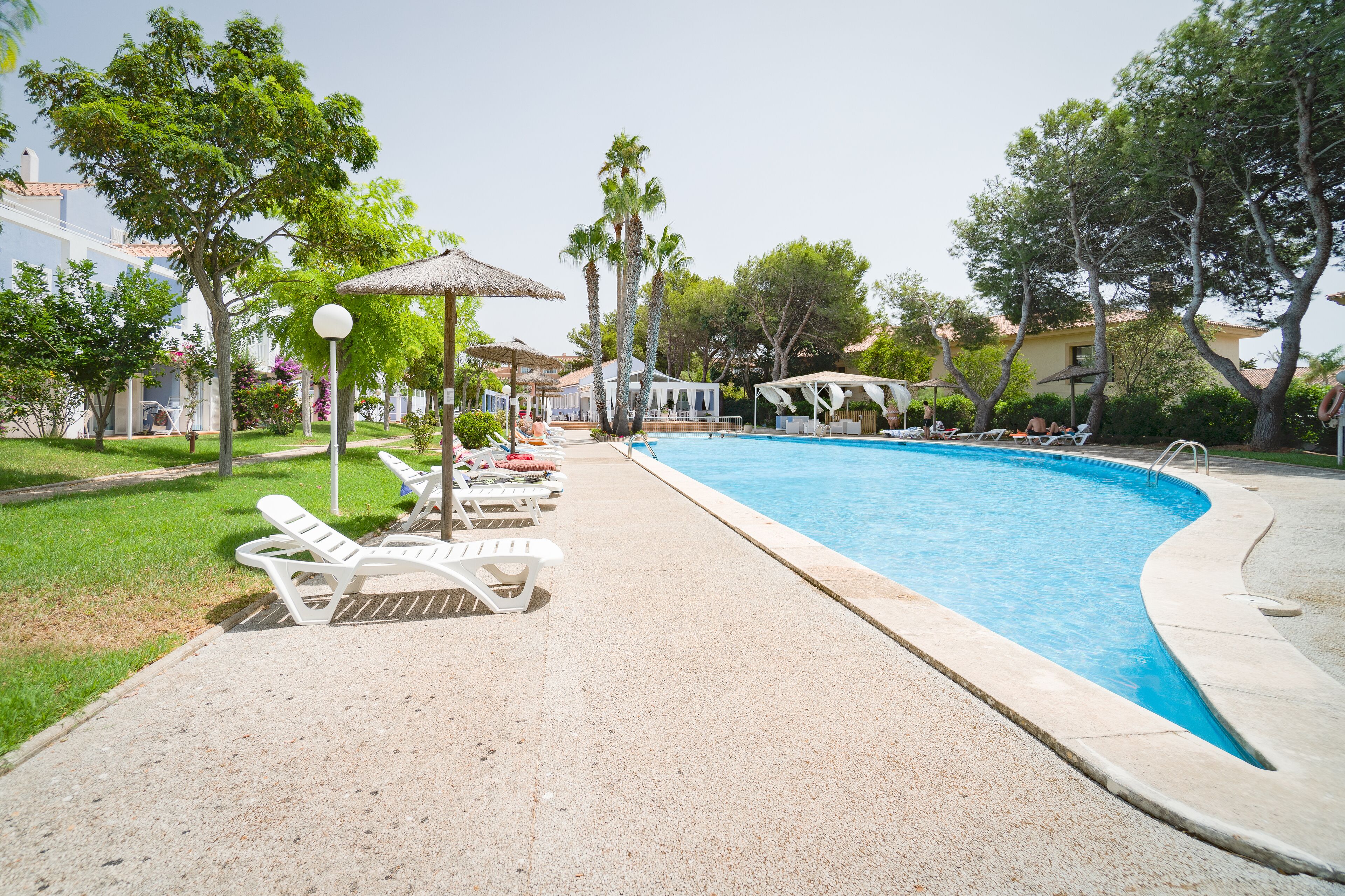 A swimming pool with lounge chairs, palm trees, and a covered area.