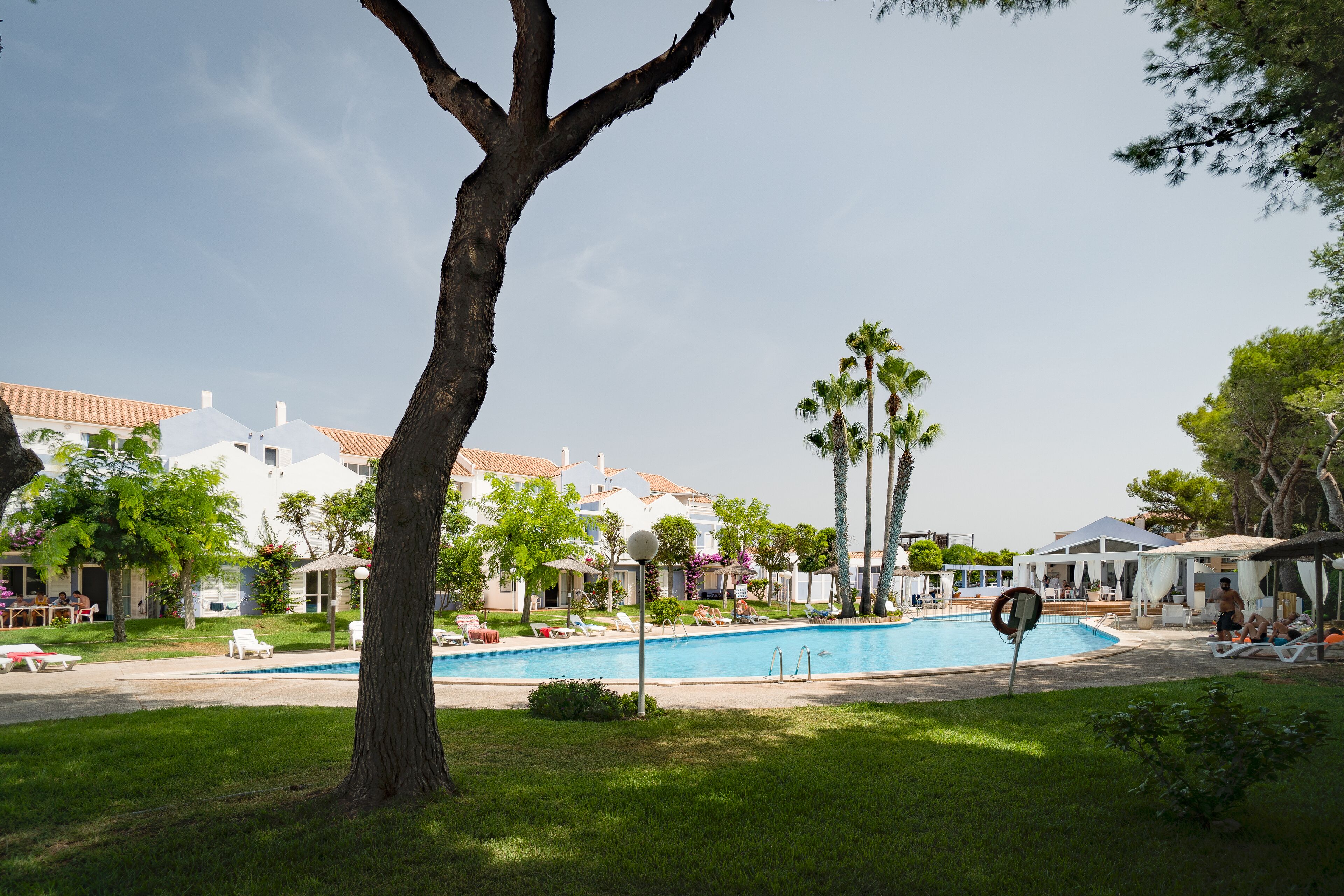 A swimming pool surrounded by grass, palm trees, and white buildings with red-tiled roofs.