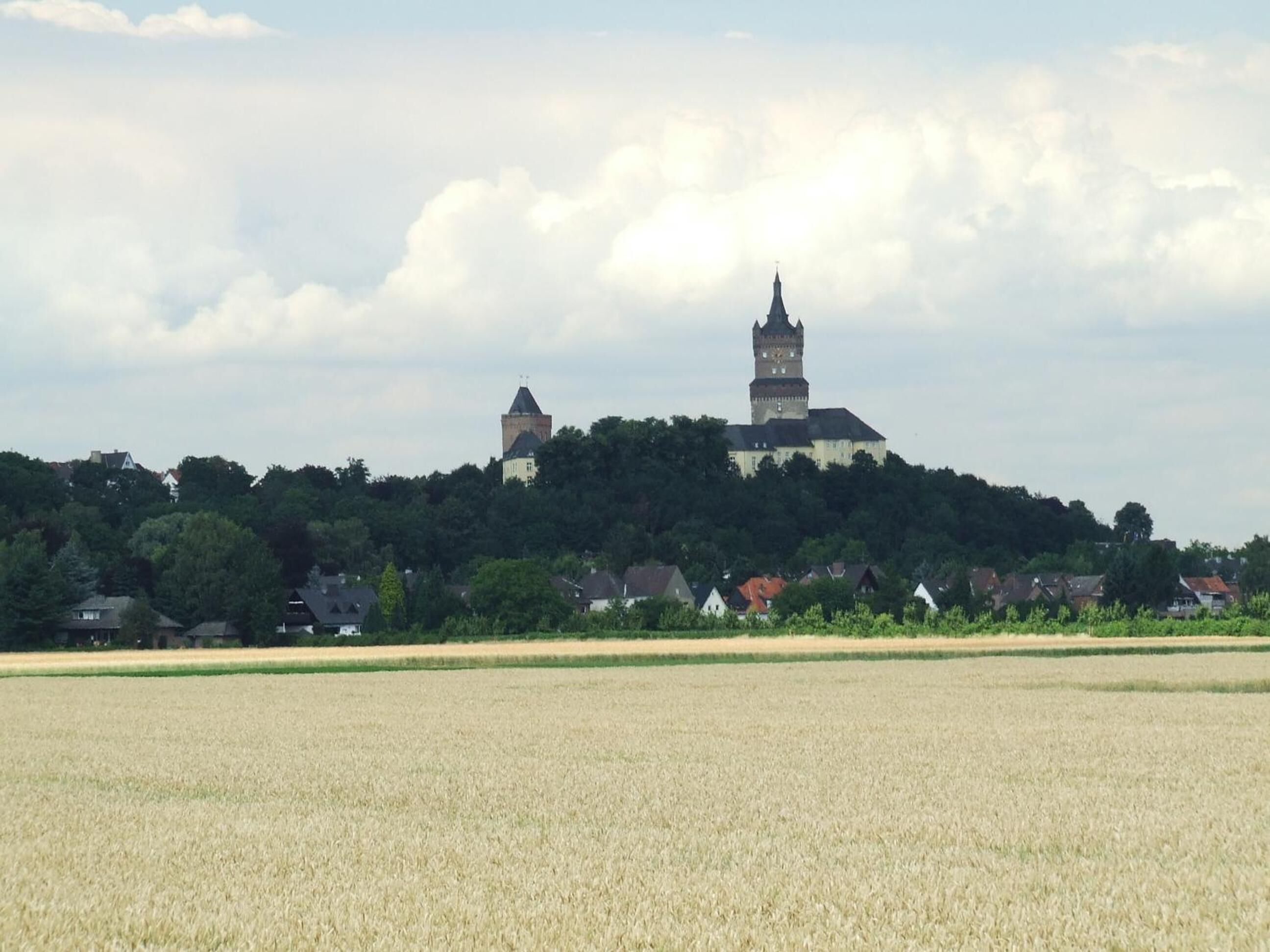 A castle on a hill with a field in the foreground.