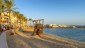 Ein Strand mit einer Holzschaukel, Palmen und einem Hafen im Hintergrund.