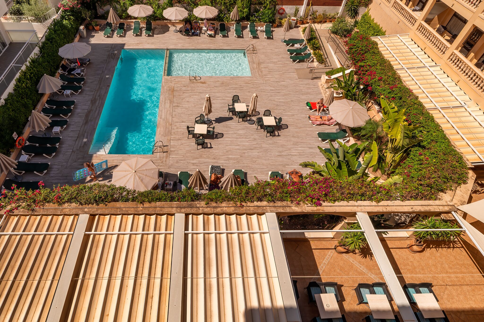 A rooftop pool area with multiple lounge chairs and umbrellas, surrounded by greenery and potted plants.