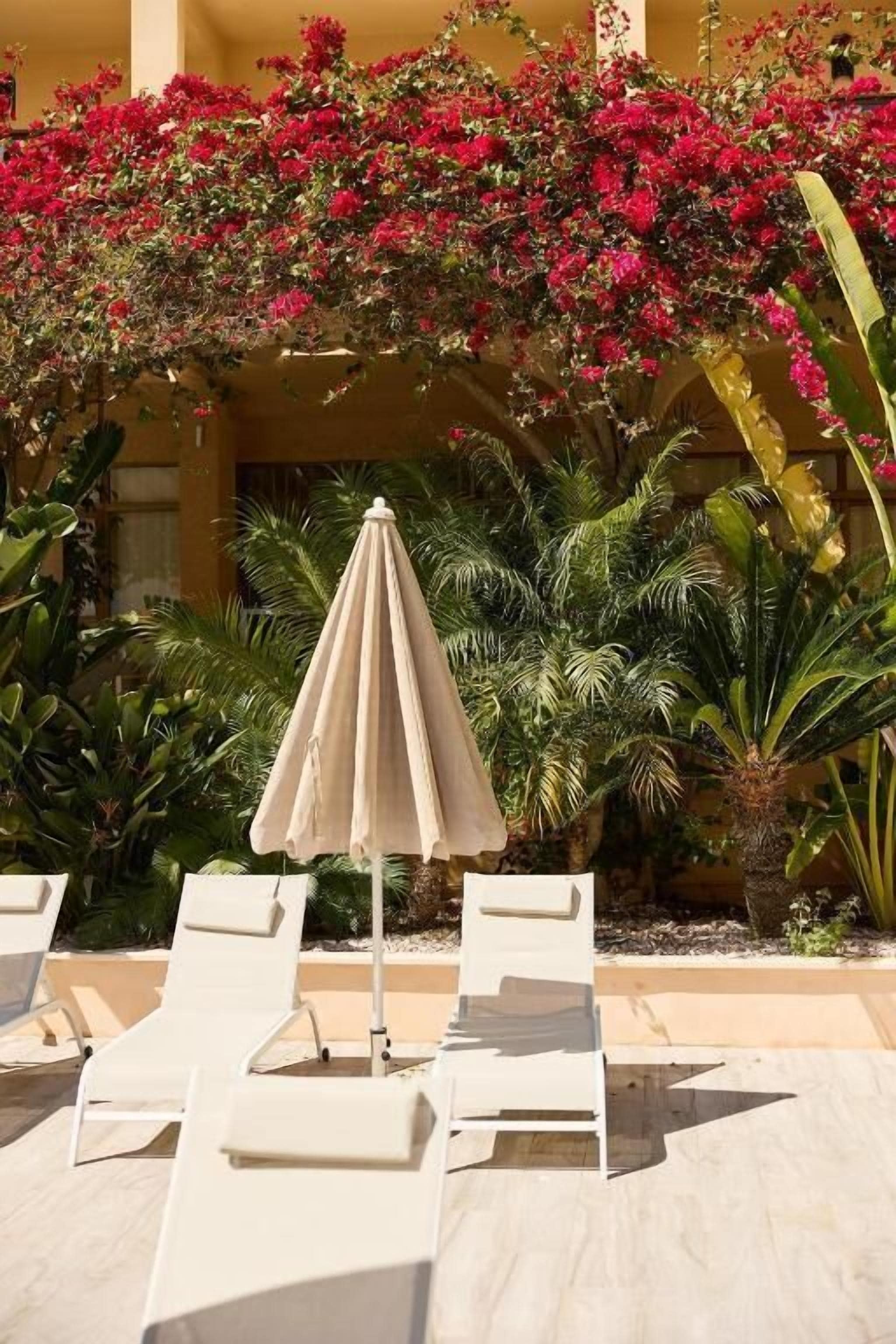 Kauden mukainen ulkouima-allas