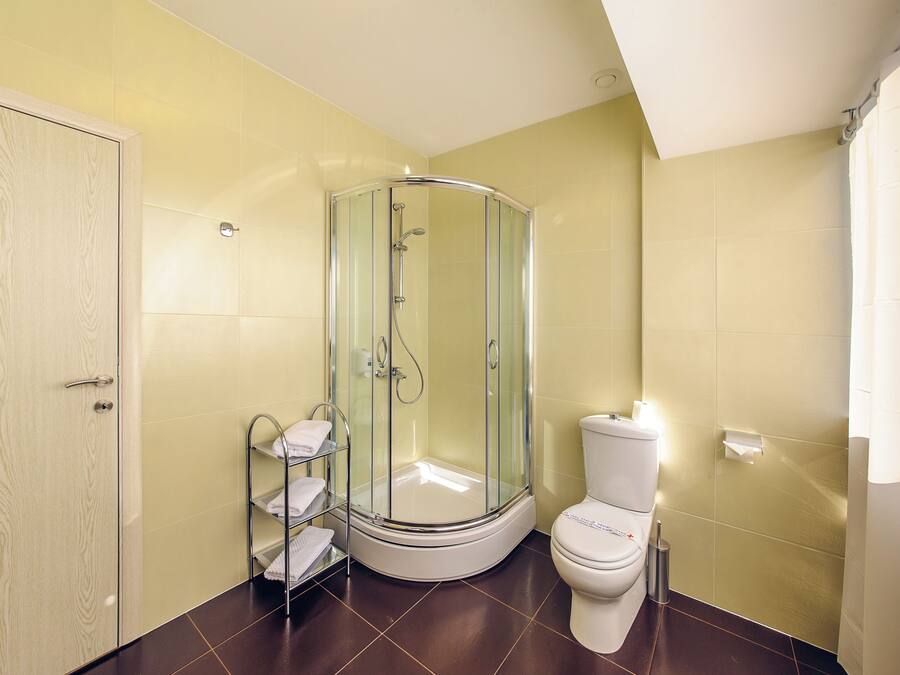A bathroom with a glass-enclosed shower, a toilet, and a wooden door.