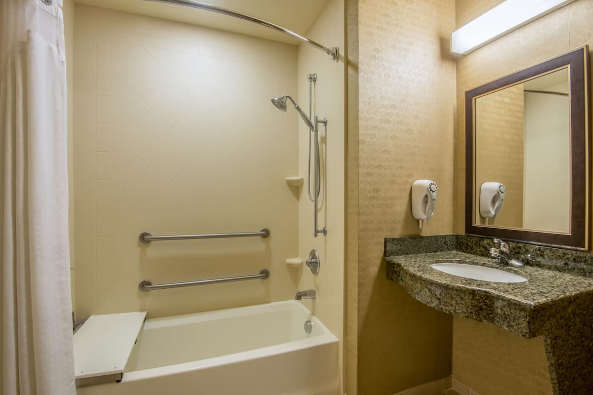 combined shower/bathtub, free toiletries, hair dryer, towels