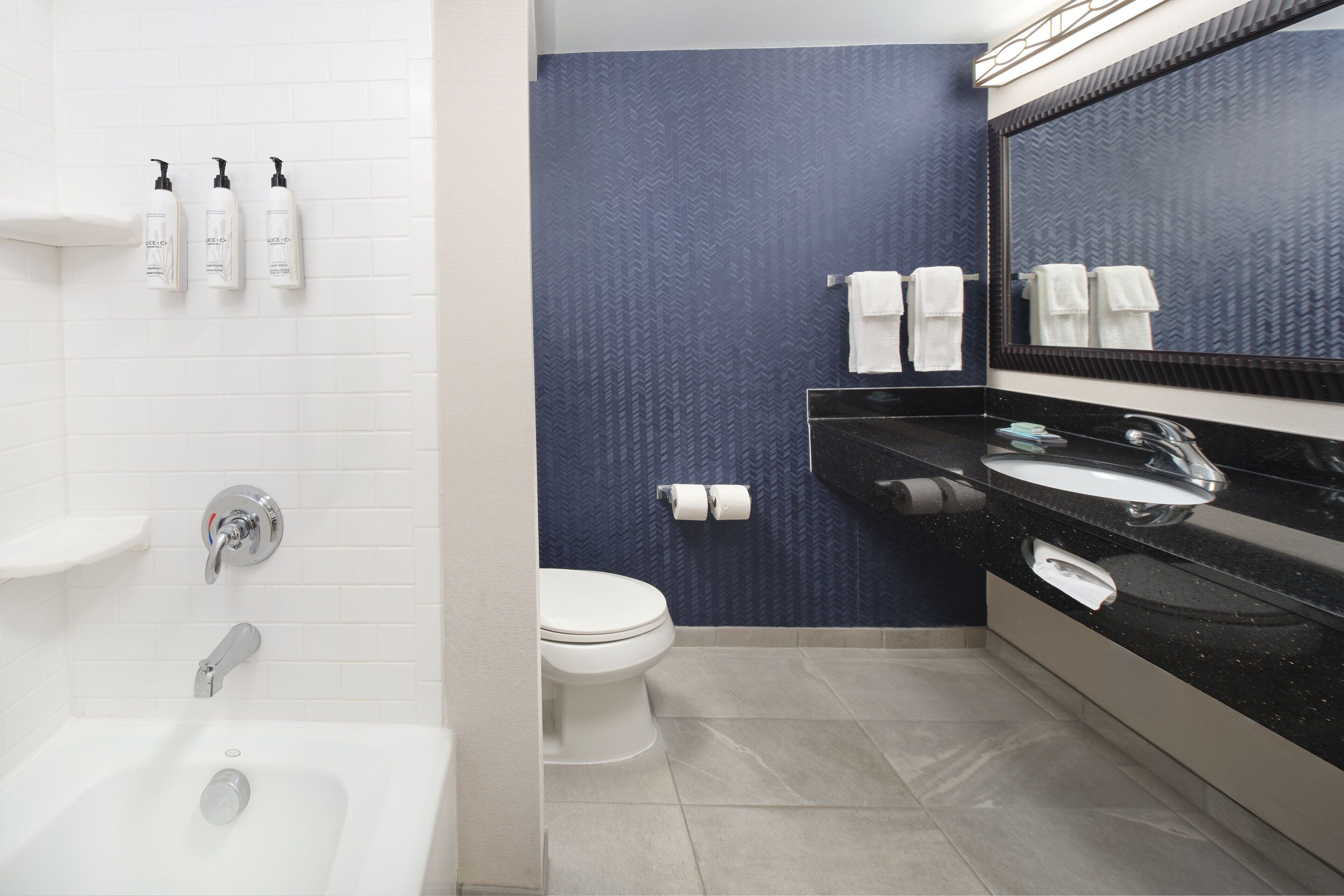 Ein modernes Badezimmer mit einem weißen Waschbecken, einer schwarzen Arbeitsplatte und einem großen Spiegel. An der Wand hängen drei Shampoo-Flaschen und eine Toilette mit zwei Klopapierrollen.