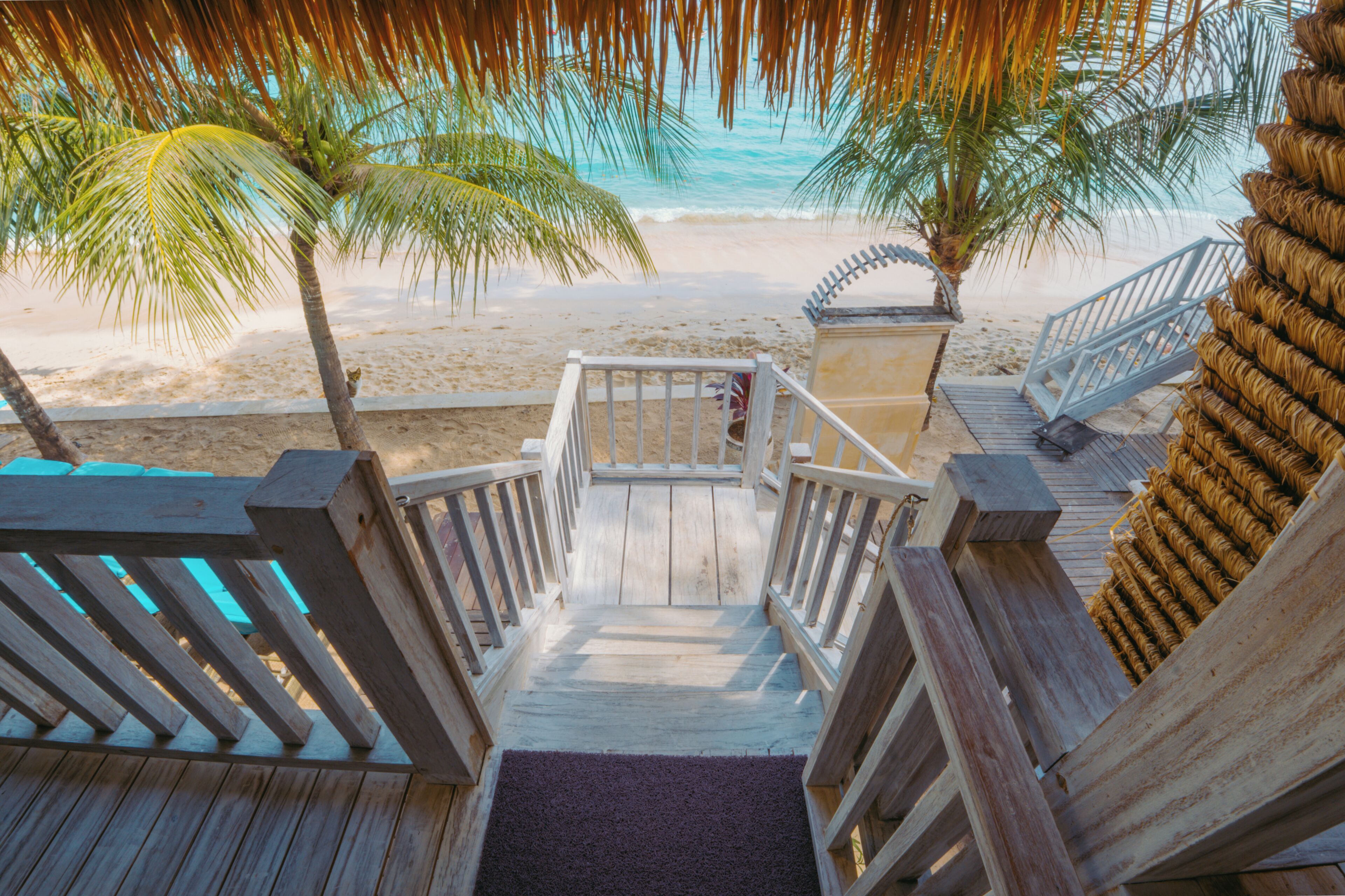 Bungalow familiar, vista a la playa, frente al mar | Vista desde la habitación