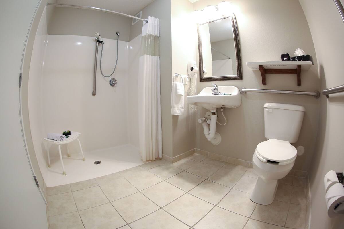 standard room, 1 king bed (handicap) | desk, laptop workspace, iron/ironing board, free wifi