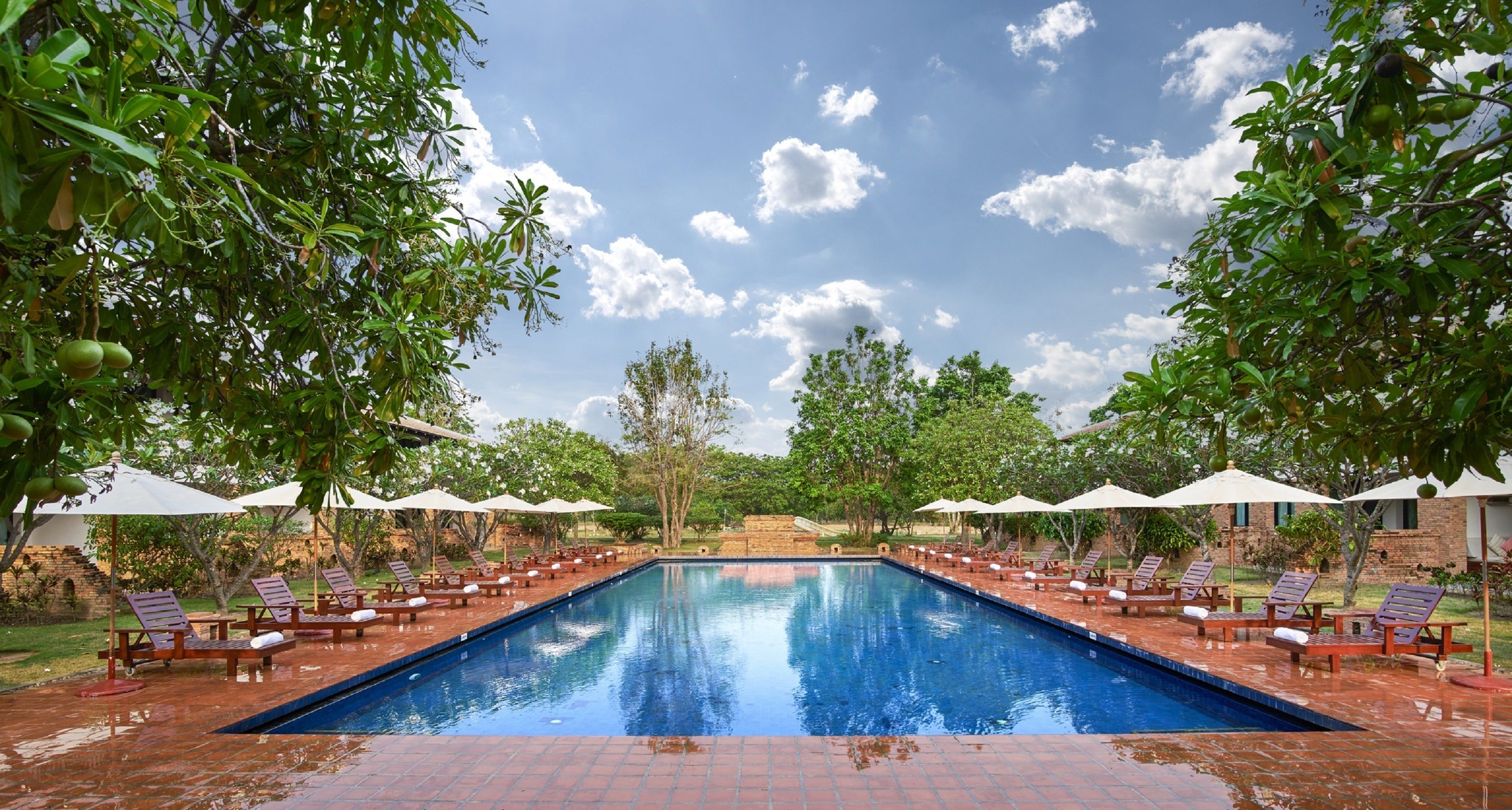 A rectangular swimming pool with lounge chairs and umbrellas on either side, surrounded by trees and a clear sky.