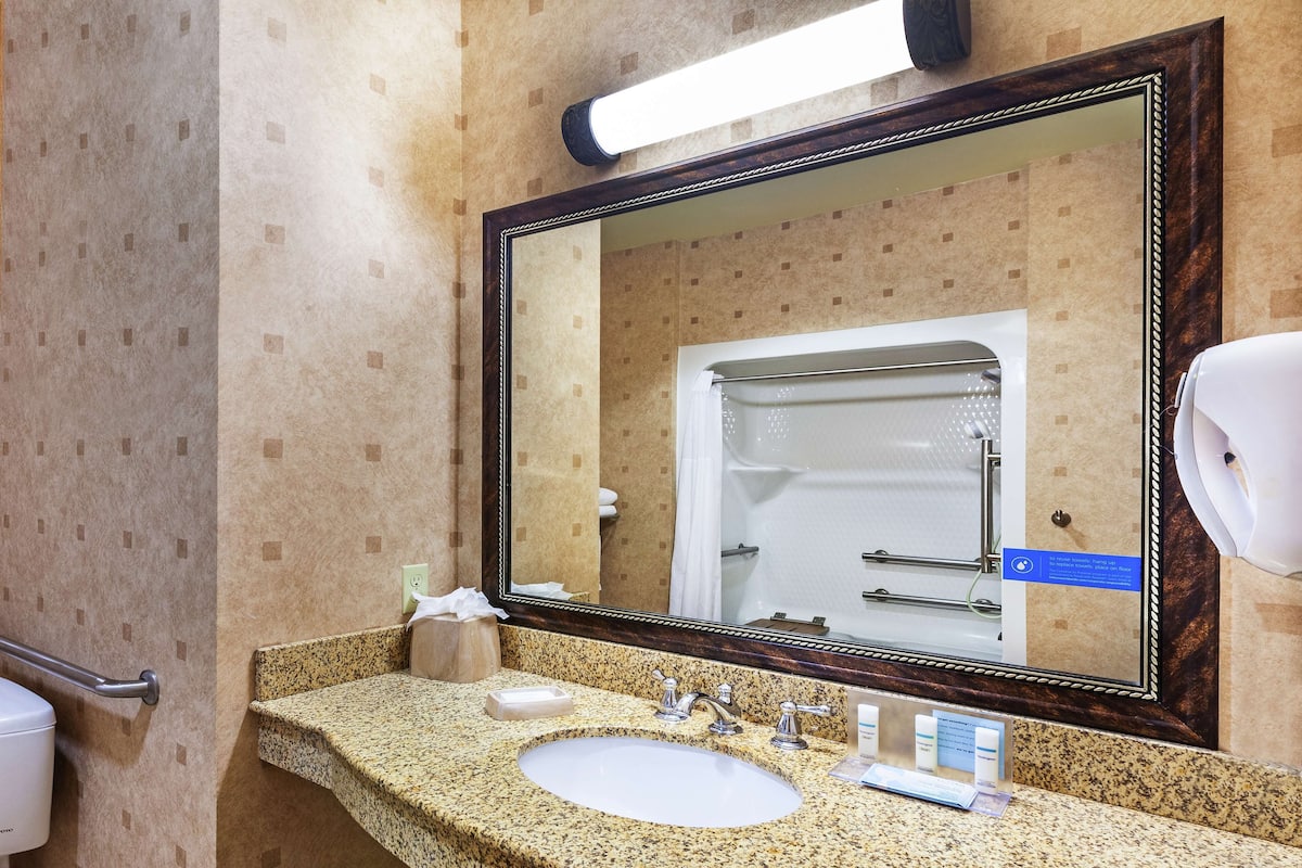 shower, free toiletries, hair dryer, towels