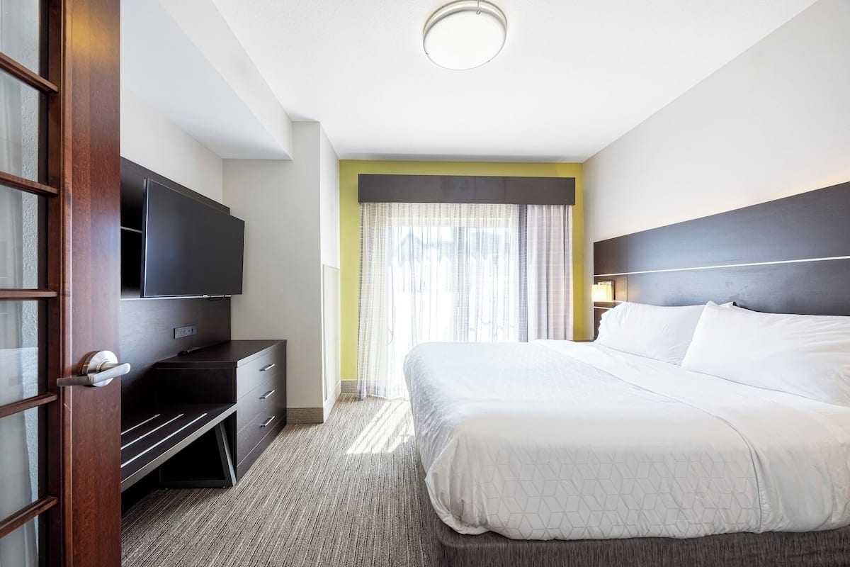 Suite, 1 King Bed with Sofa bed
