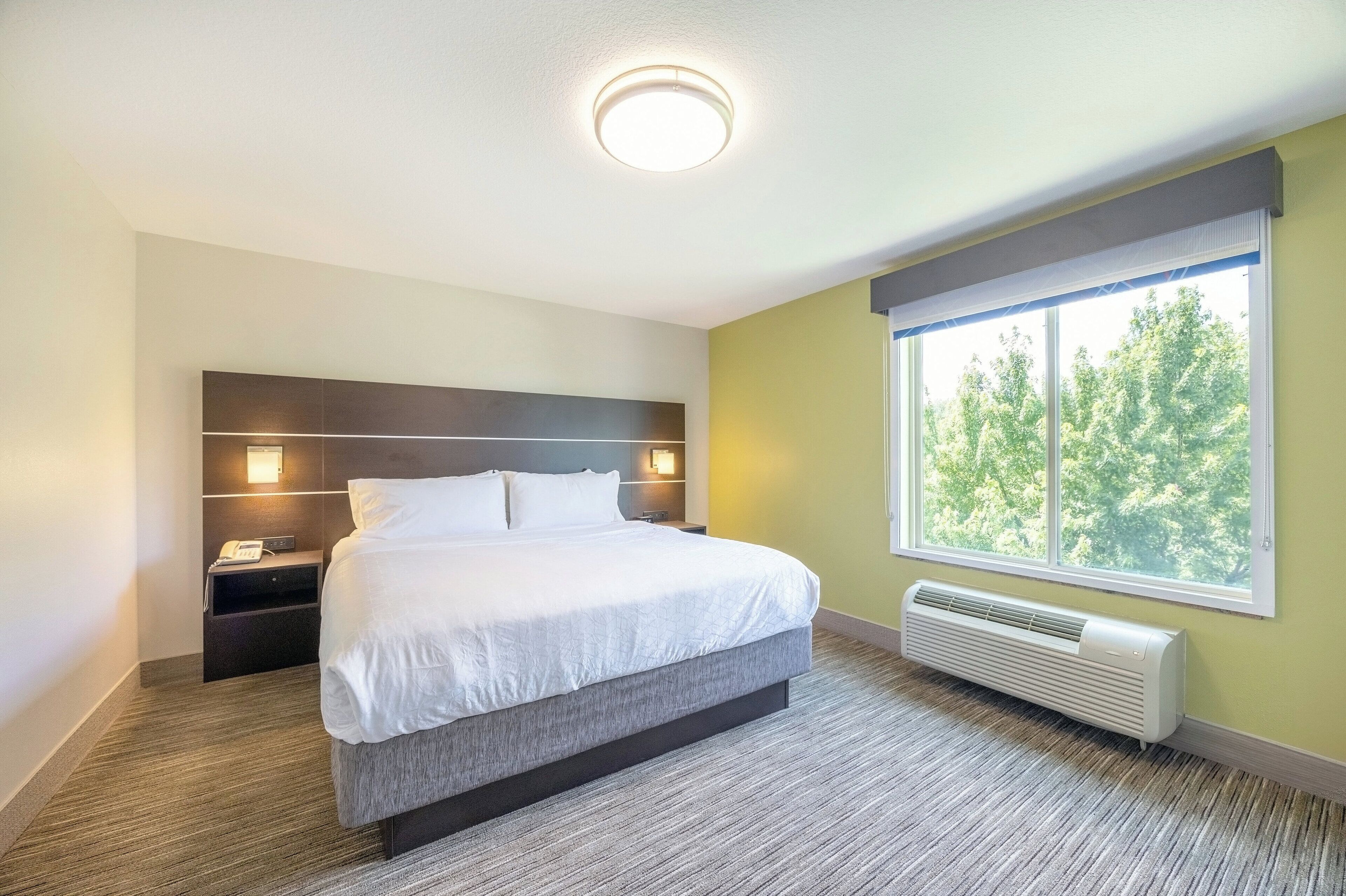 Suite, 1 King Bed with Sofa bed | In-room safe, desk, blackout drapes, iron/ironing board