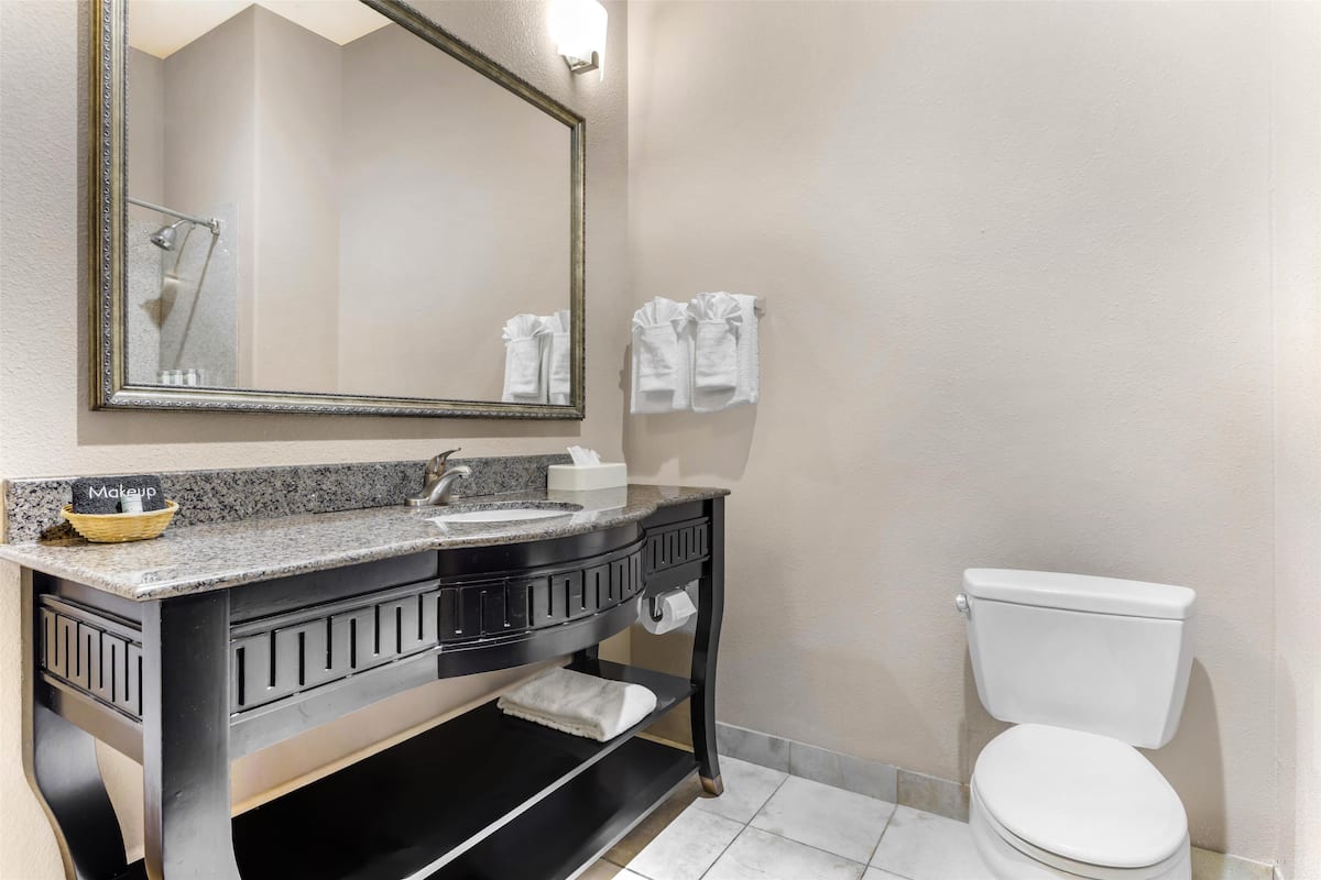 standard room, 1 king bed, non smoking, jetted tub | bathroom | combined shower/bathtub, hair dryer, towels